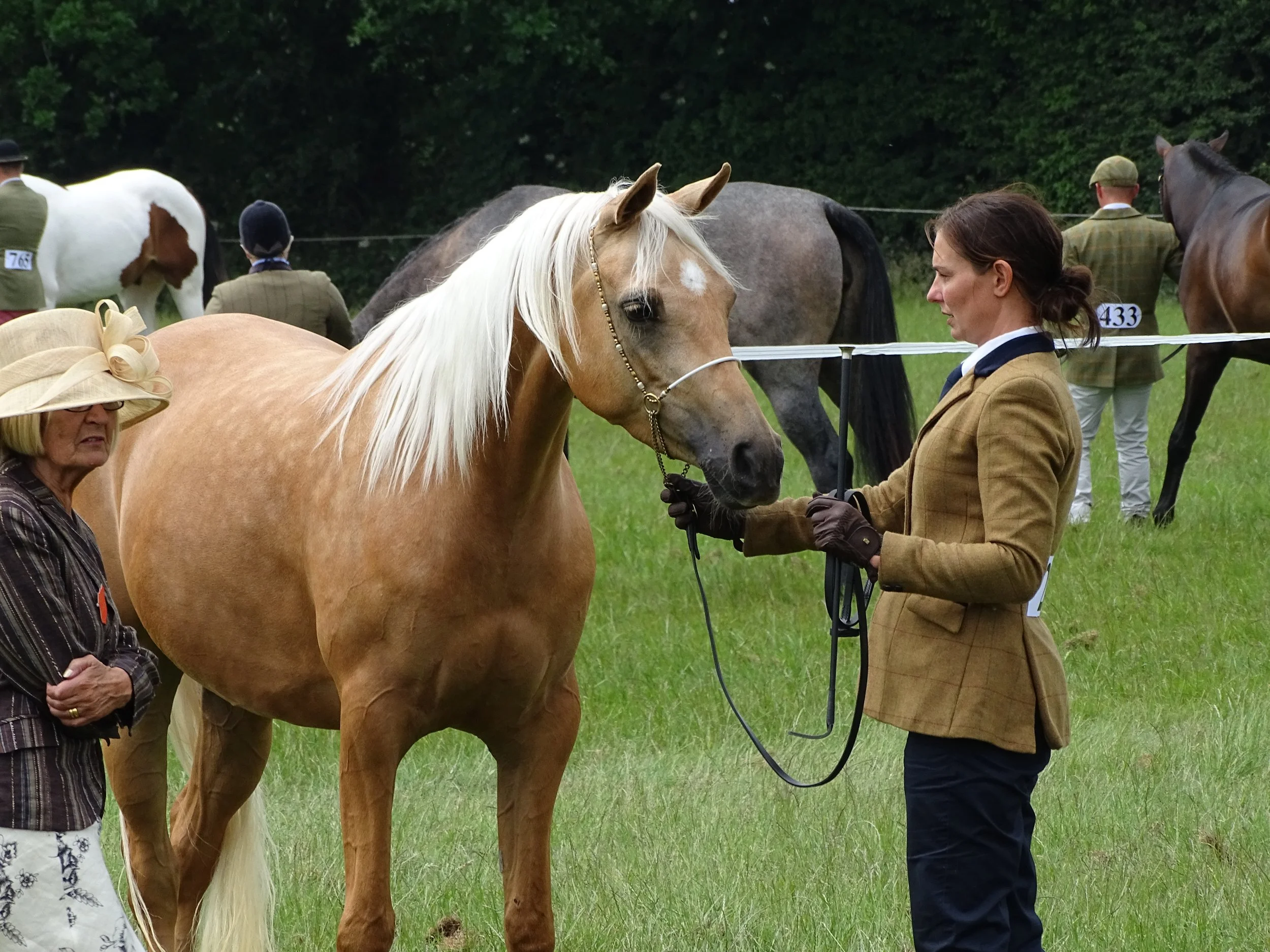 Hertfordshire Country Show