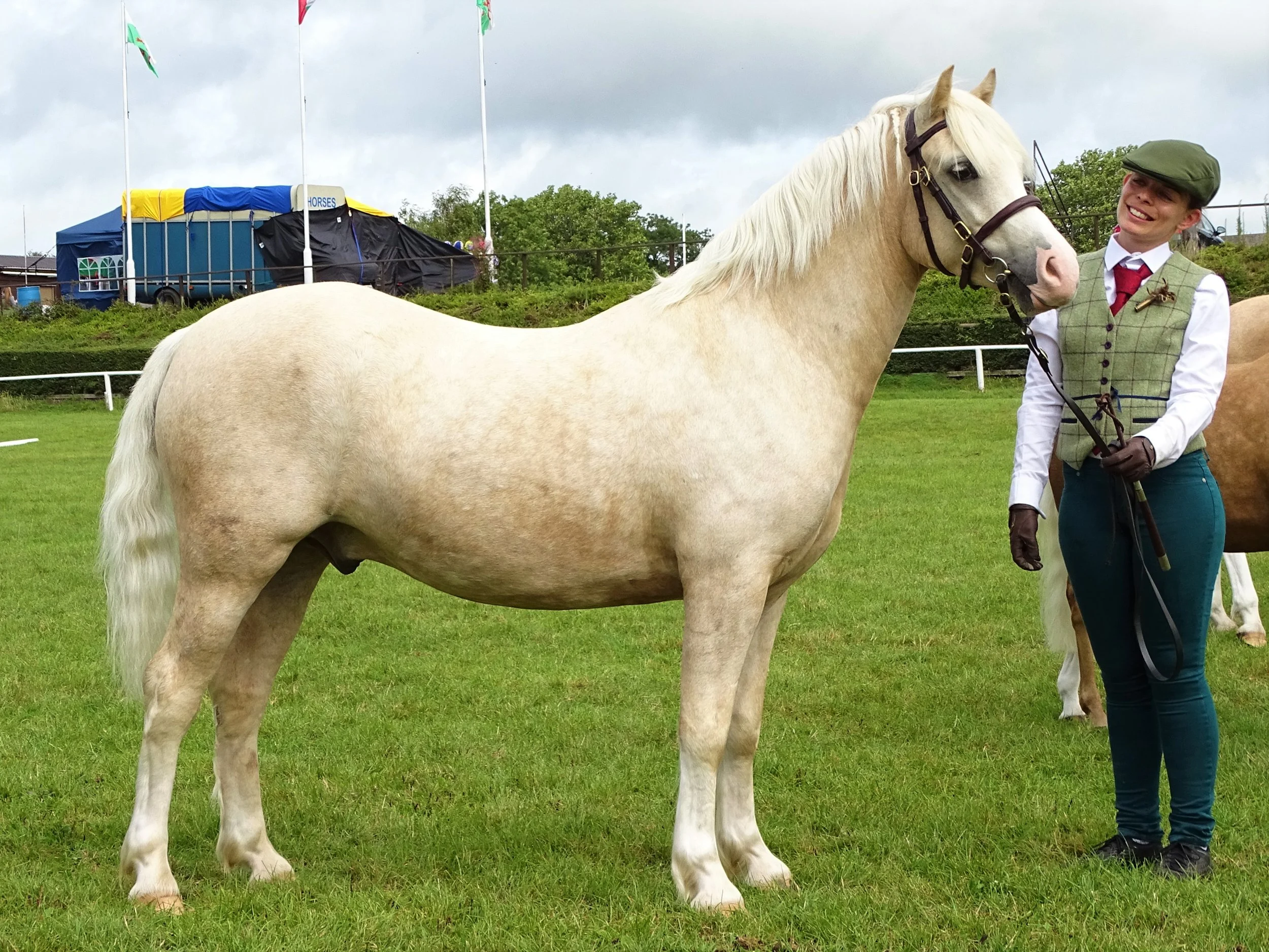 Shropshire and Staffordshire Borders Show