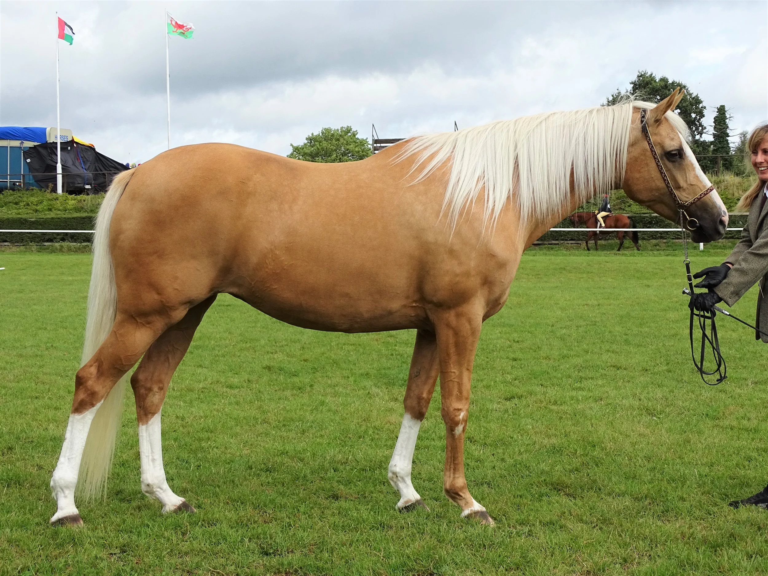 Royal Three Counties Show