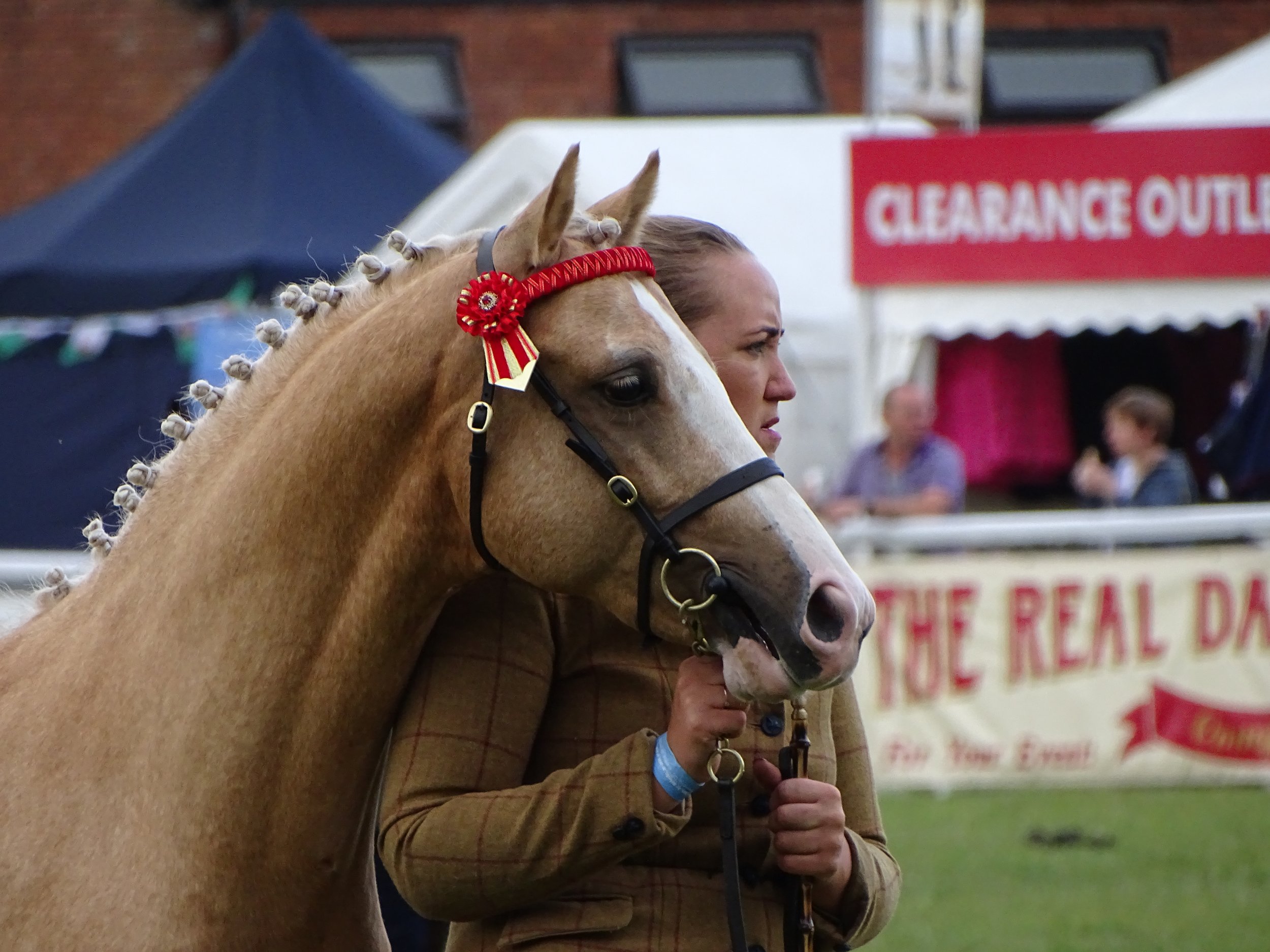 Usk Show