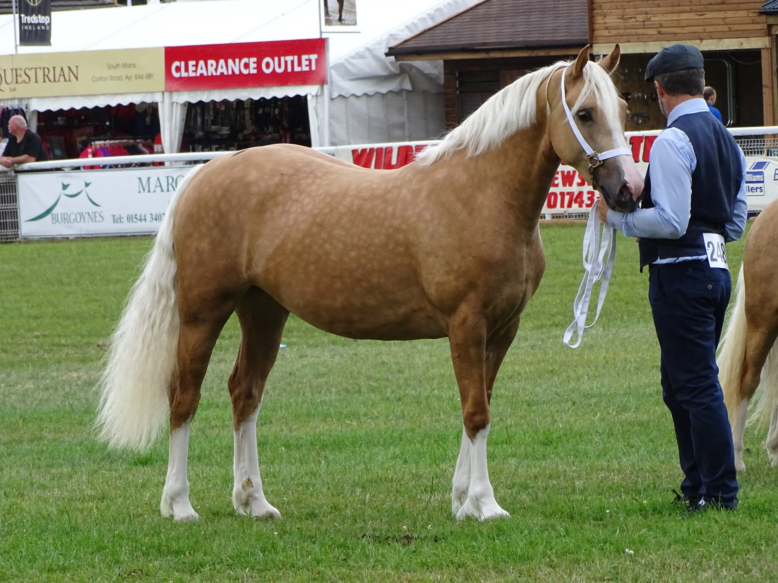 Durham County Show
