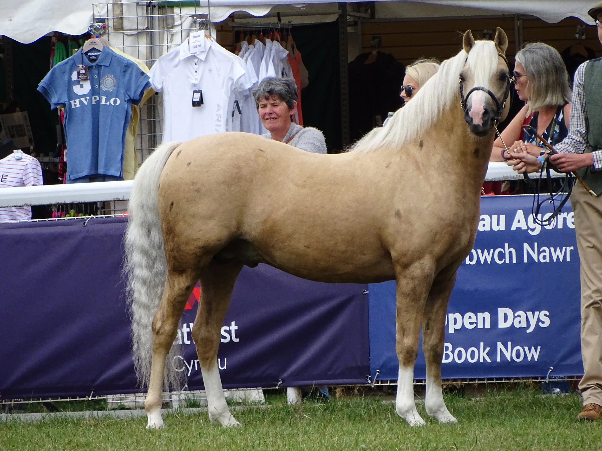 Pembrokeshire County Show