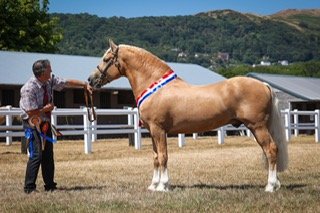 thumbnail_PHOTO-2025-10-04-20-31-26 monty.jpg