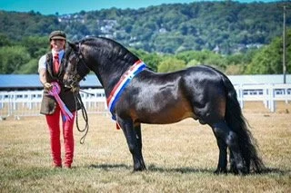 thumbnail_PHOTO-2025-10-04-20-31-27 ray.jpg