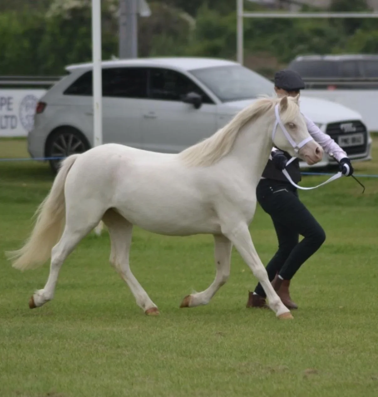 image0.webp