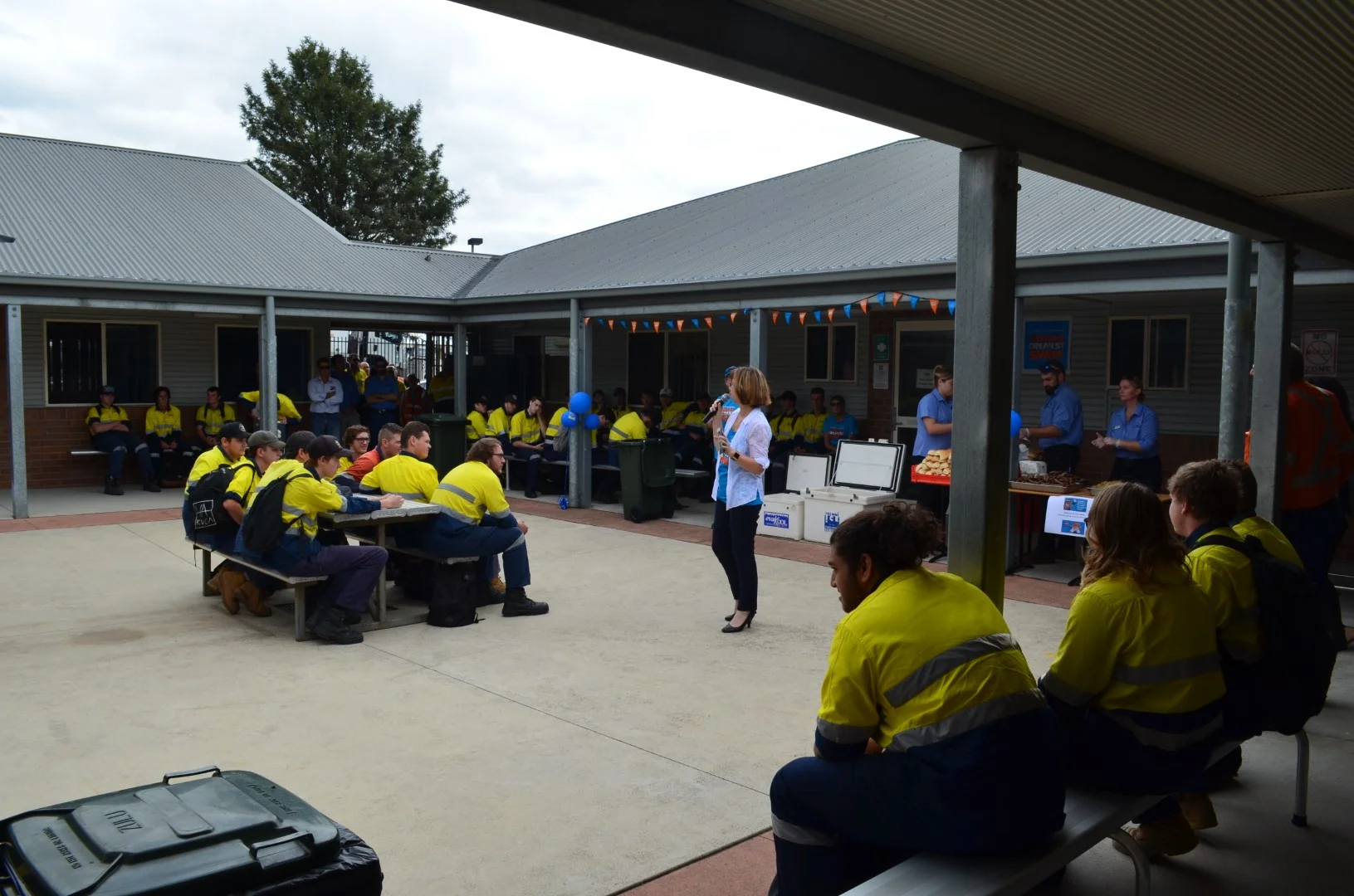 DSC_0010 (Large).JPG