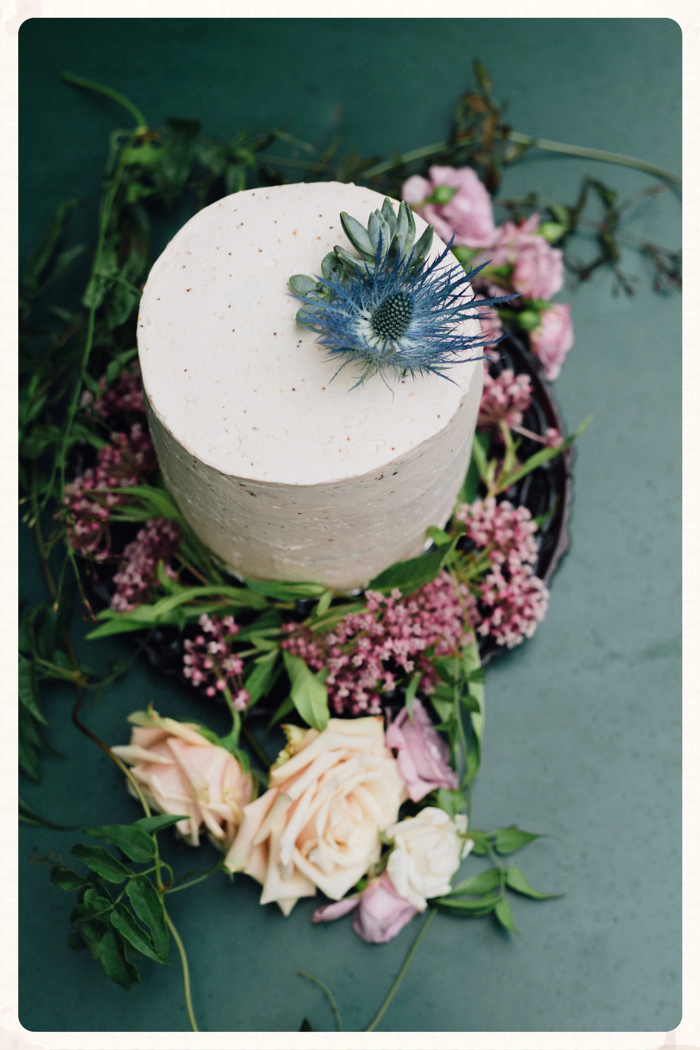 20150627_StemsIntoTheWoods_Brooklyn-58.jpg