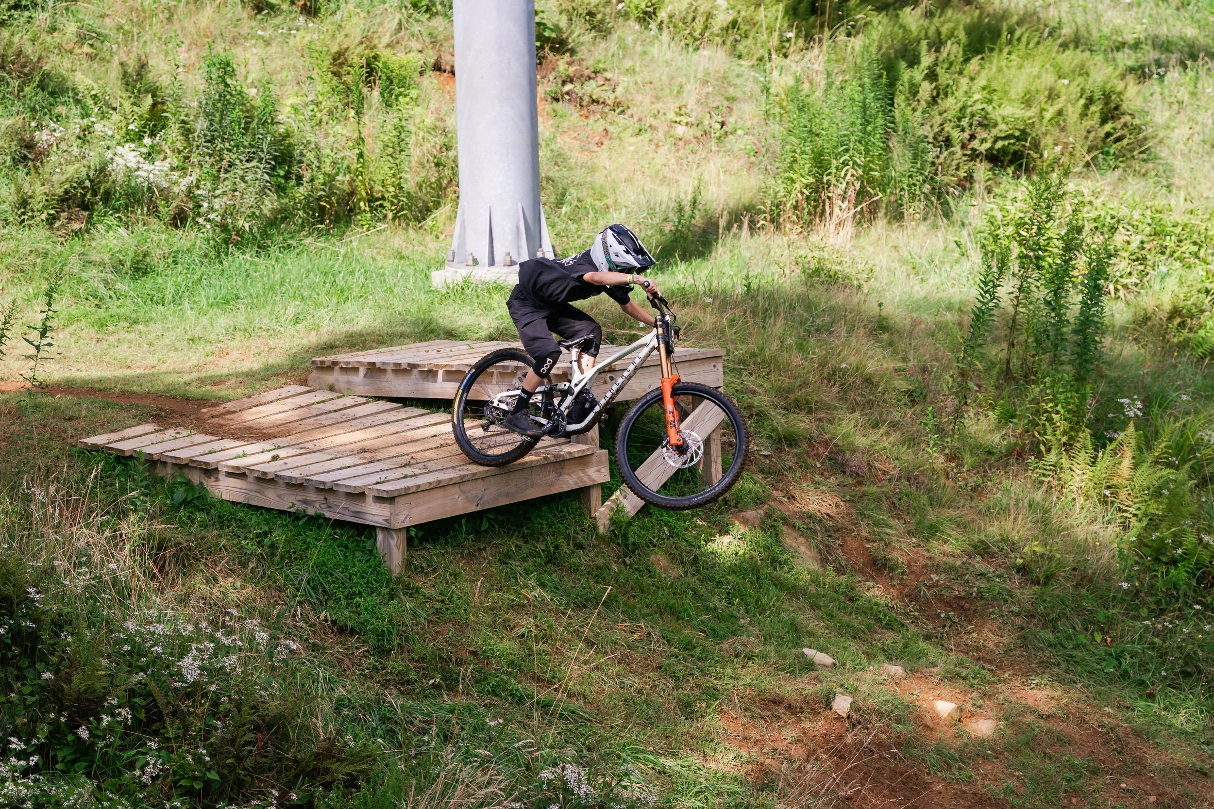 Photo - Pisgah Paparazzi
