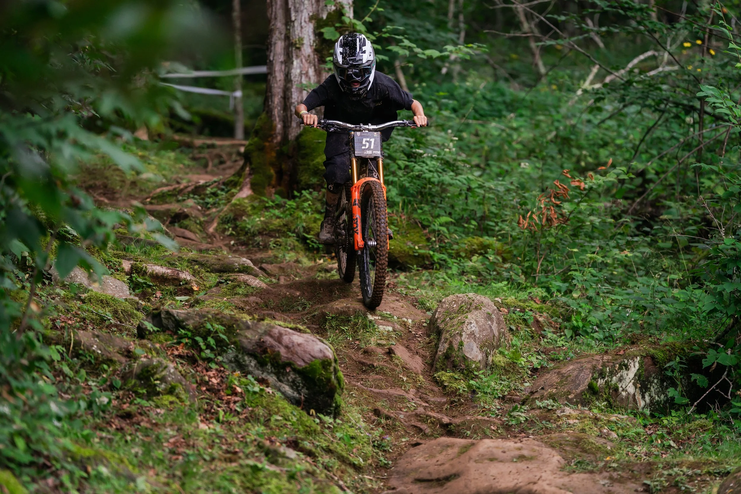 Photo - Pisgah Paparazzi