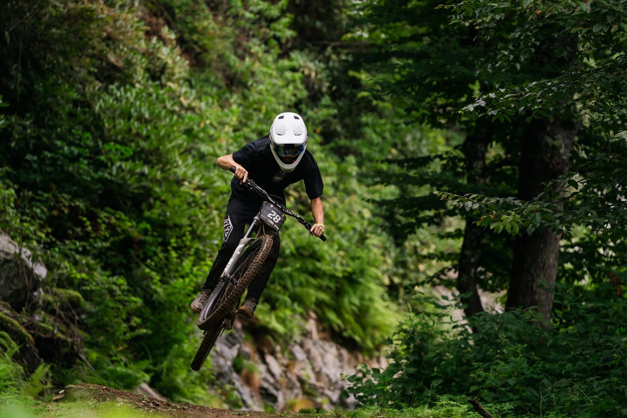 Photo - Pisgah Paparazzi