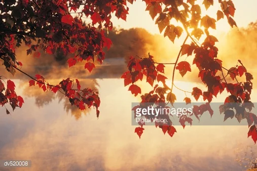 Photo by Digital Vision./Digital Vision / Getty Images