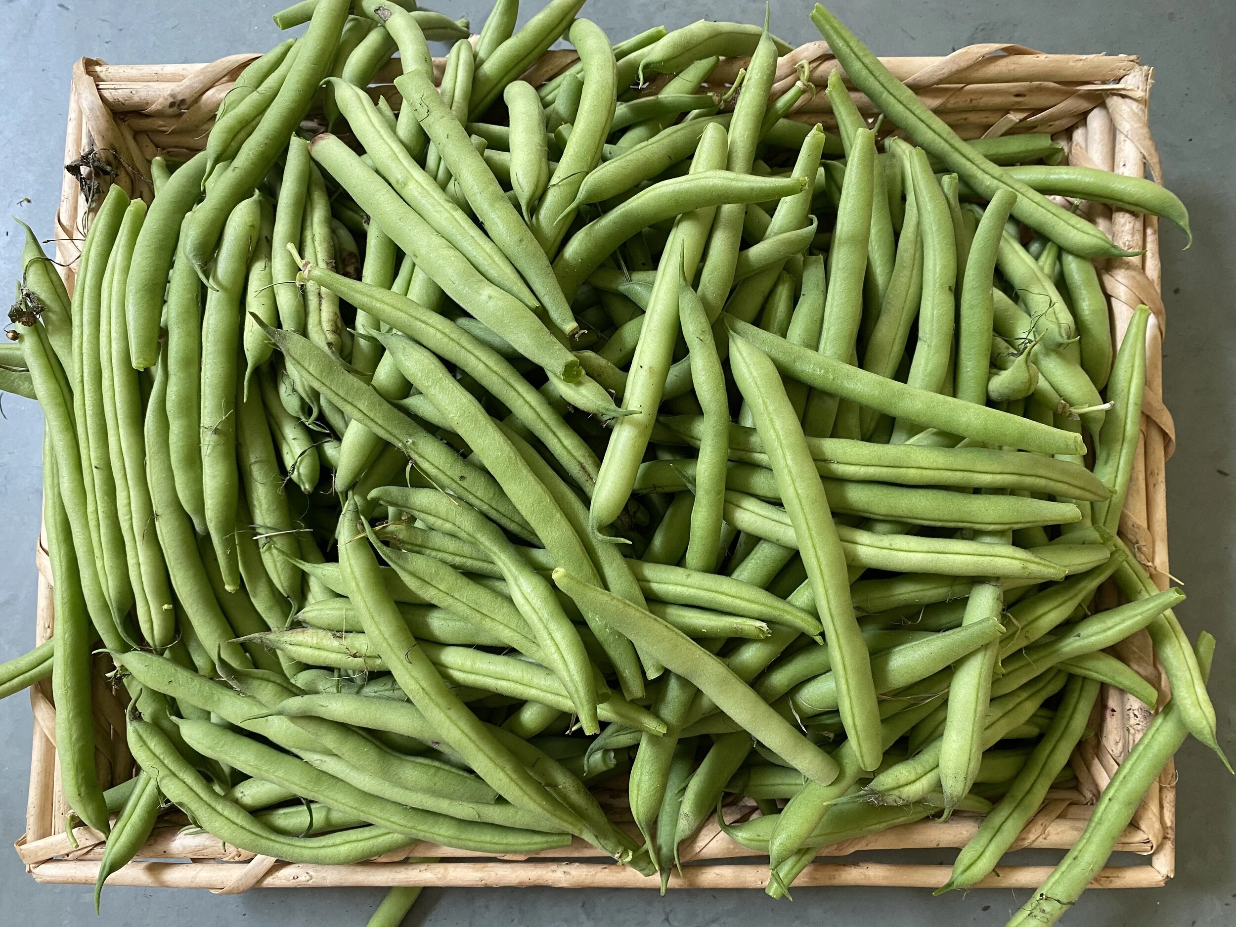 Recipe: Szechwan Green Beans