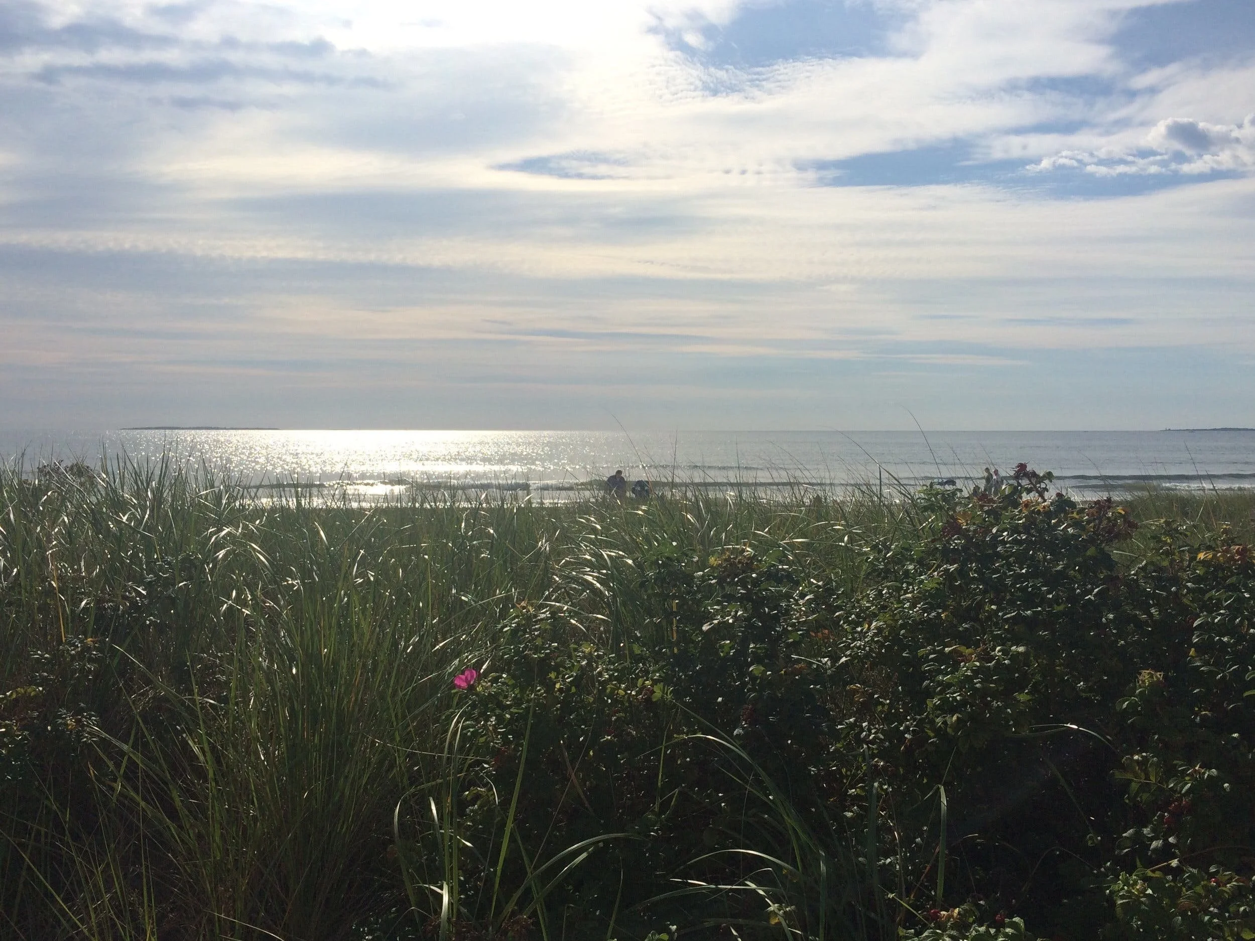 Inner Self Care: Identifying Our Needs and Finally Getting Them Met