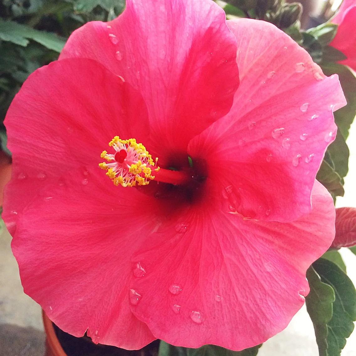 So pretty