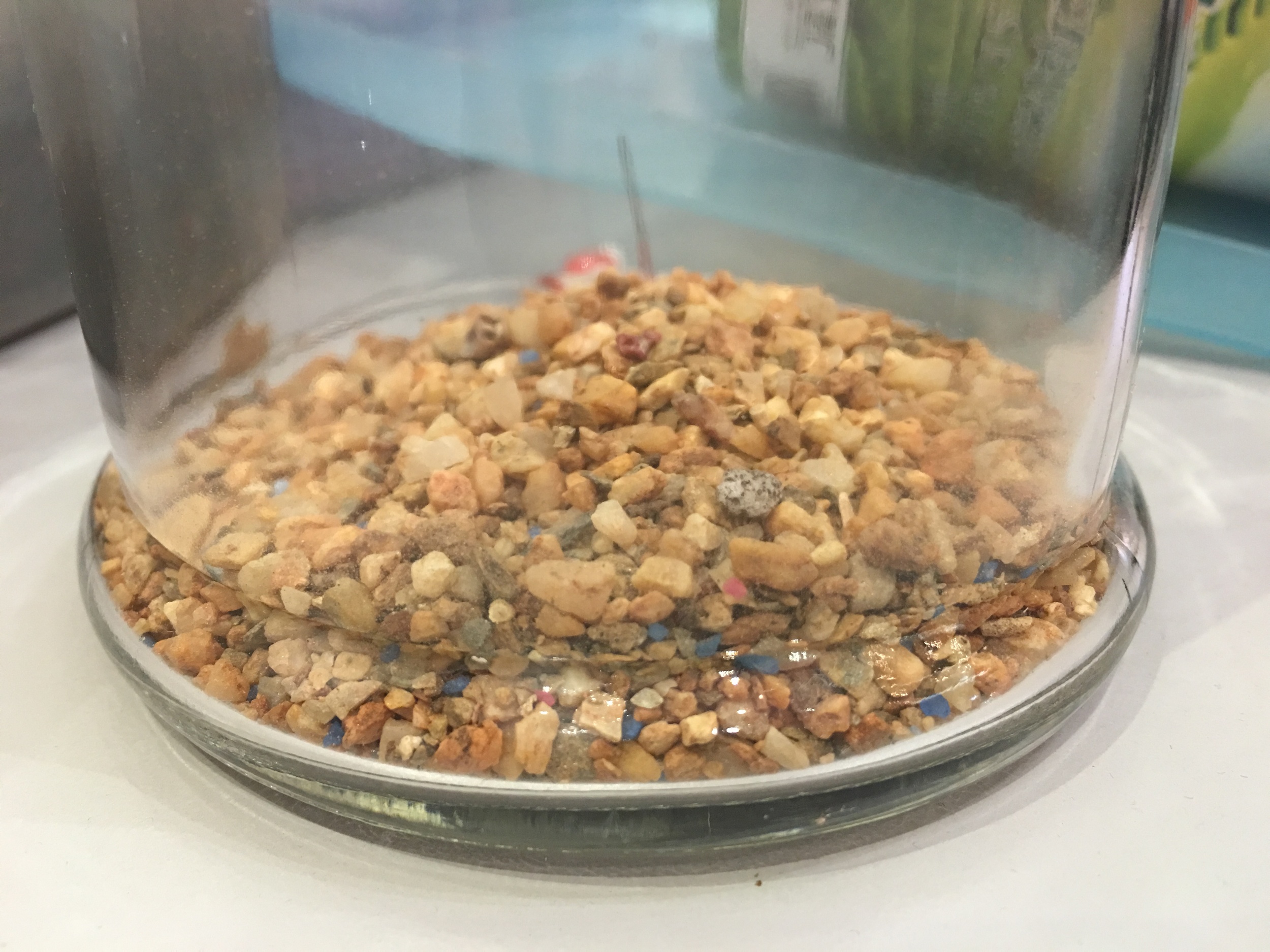 Step 1: Fill the bottom of the glass jar with small pebbles (3cm) Step 2: Cover the small pebbles with a layer of moss (2cm)