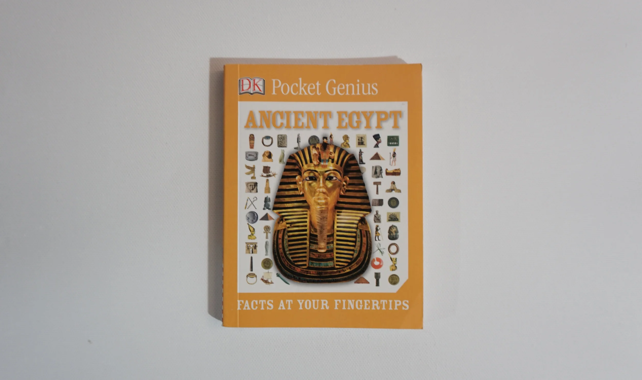 pocket genius.jpg