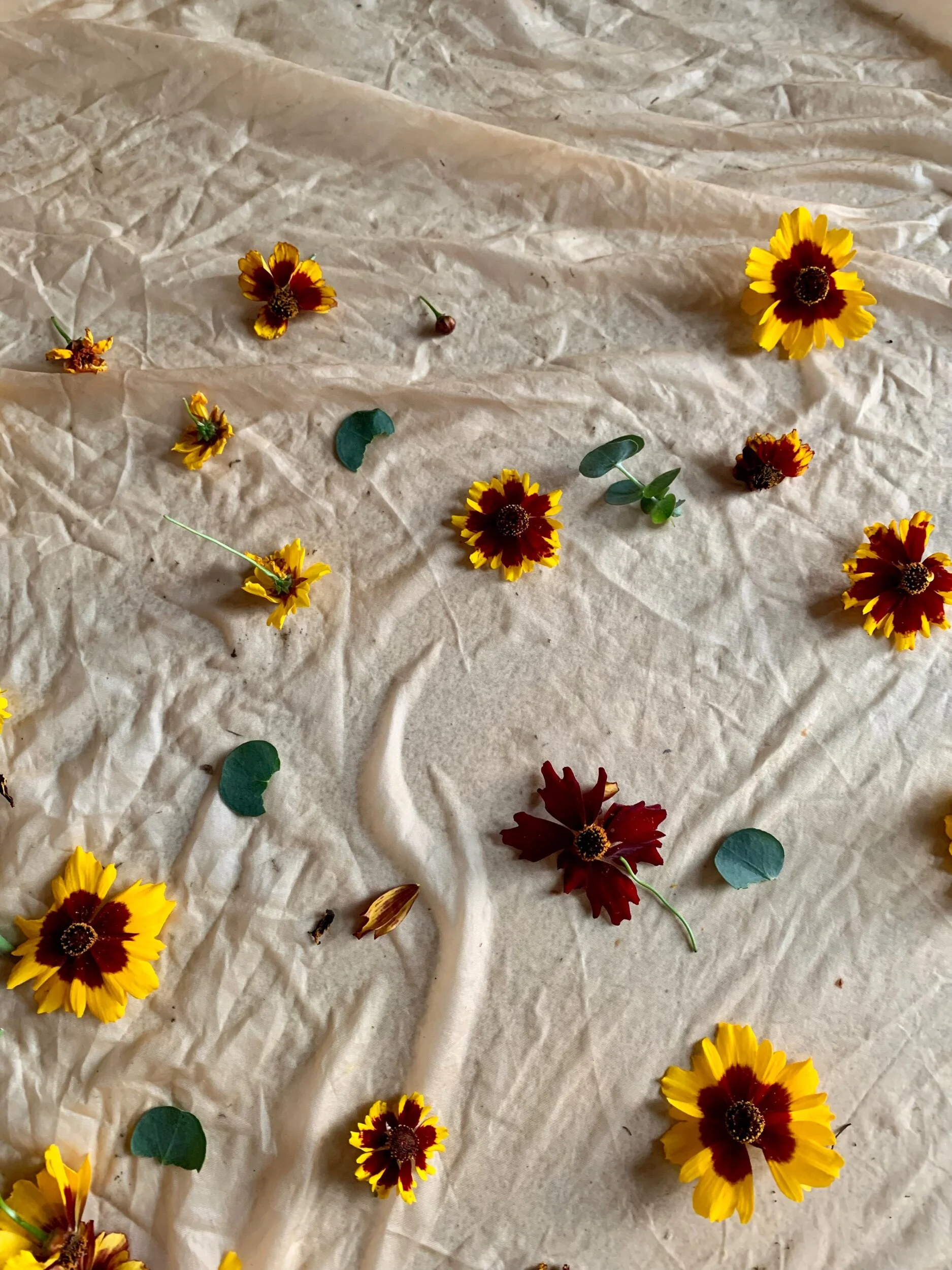 Silk sleep mask||korinne vader