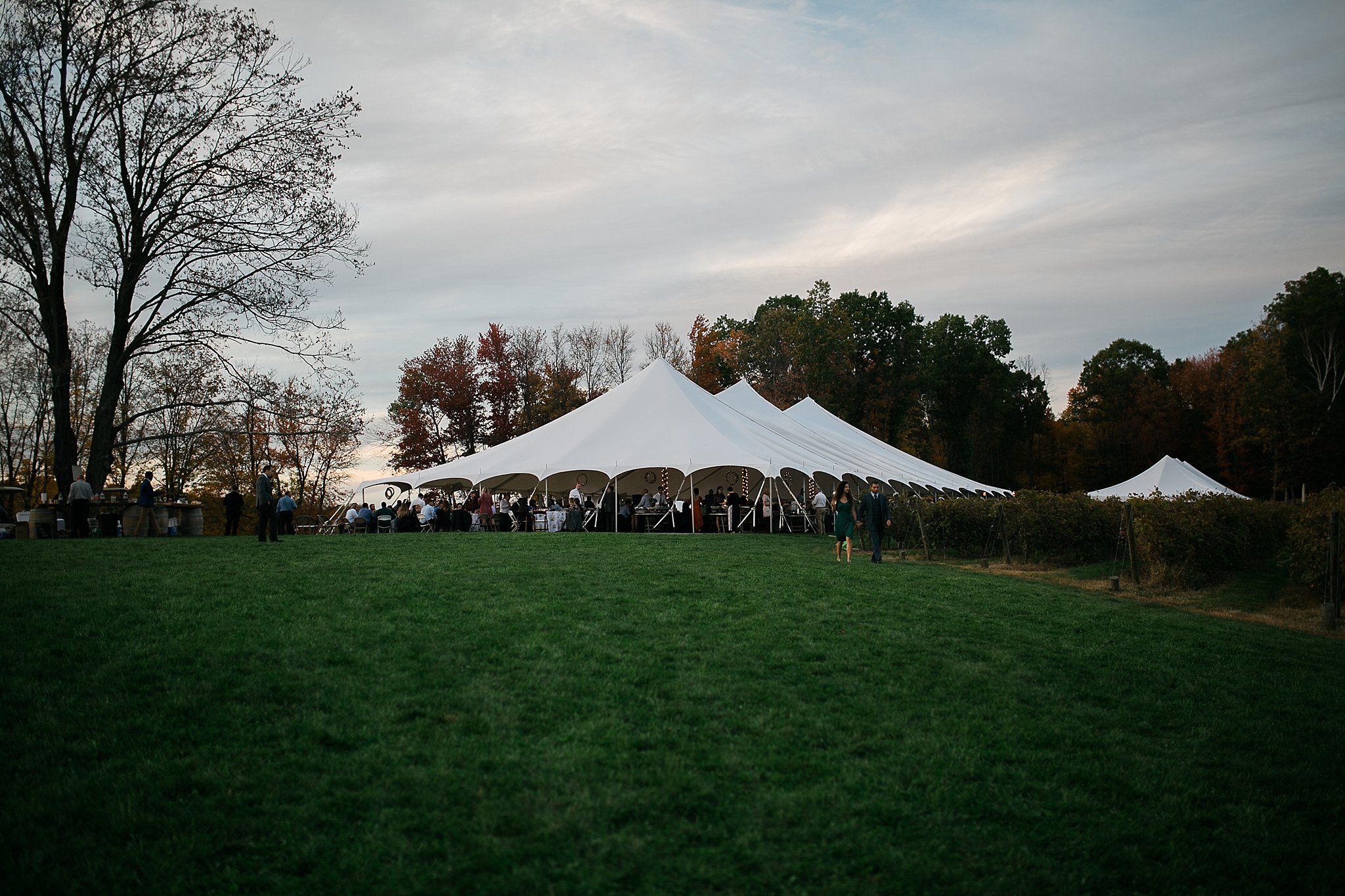 Magnanini Winery Wedding Hudson Valley Wedding Photographer Sweet Alice Photography 64.jpg