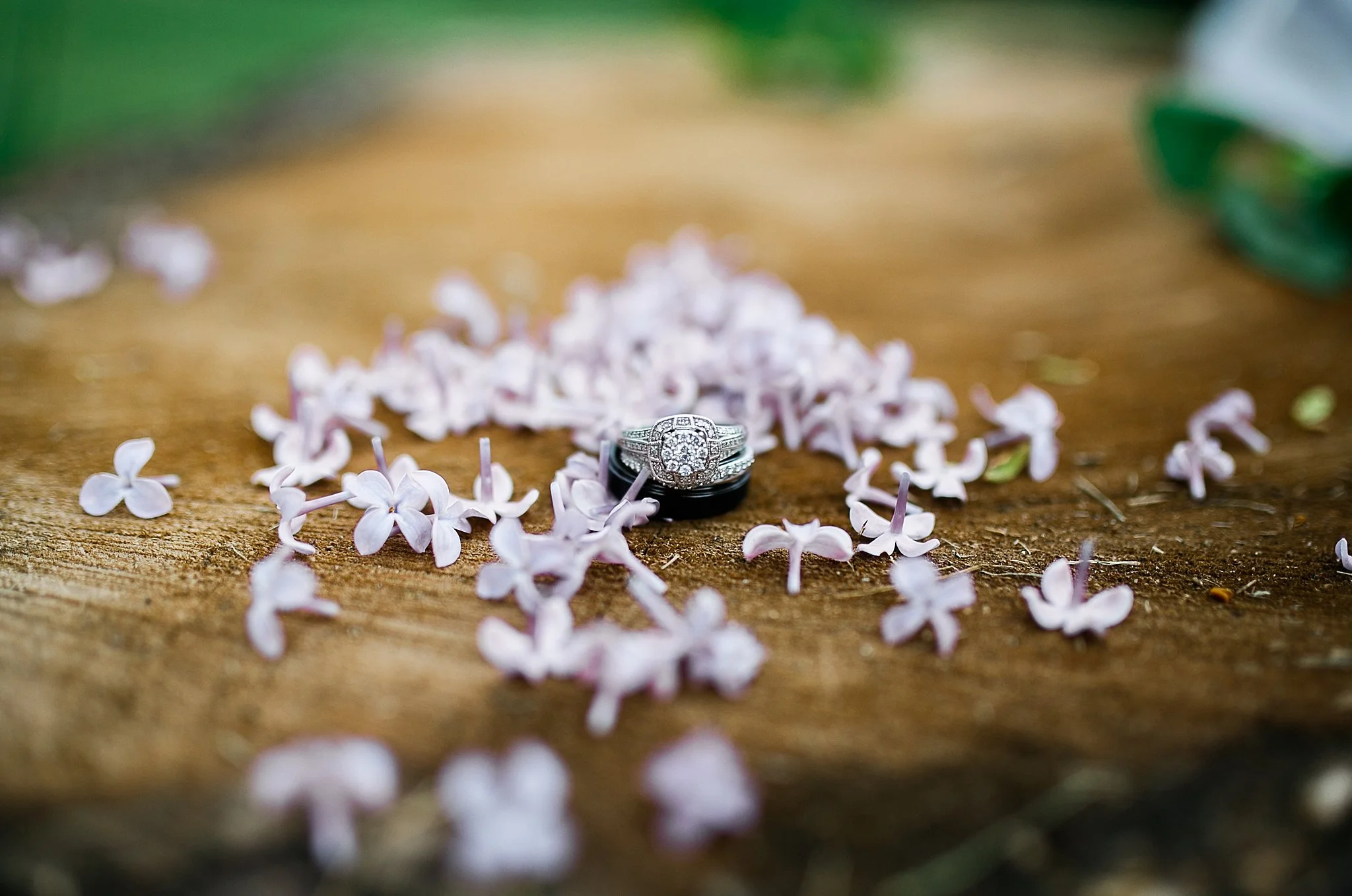 Preserve at Chocorua Tamworth NH Wedding May Wedding New Hampshire Wedding 2.jpg