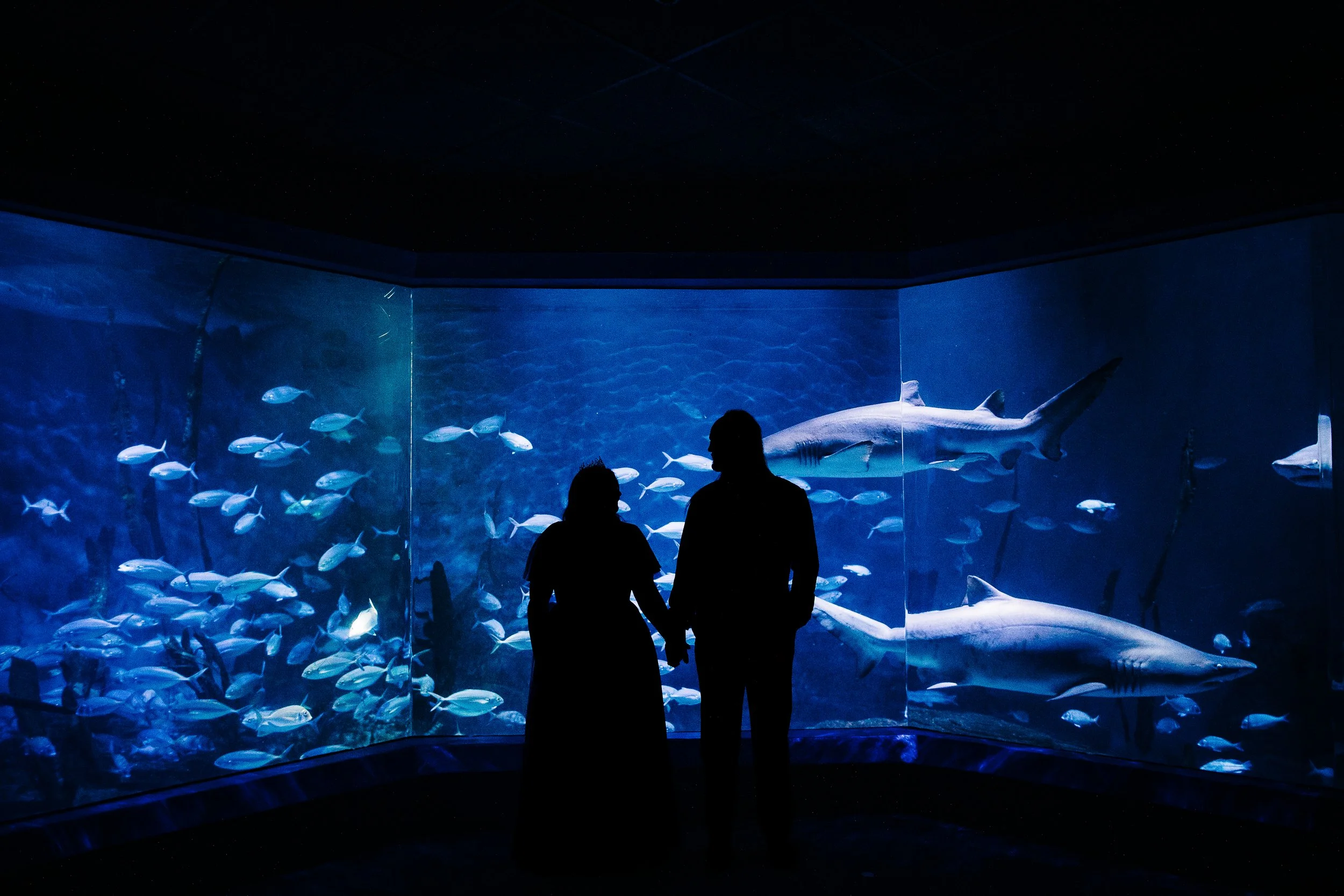 Norwalk Maritime Aquarium Wedding.jpg