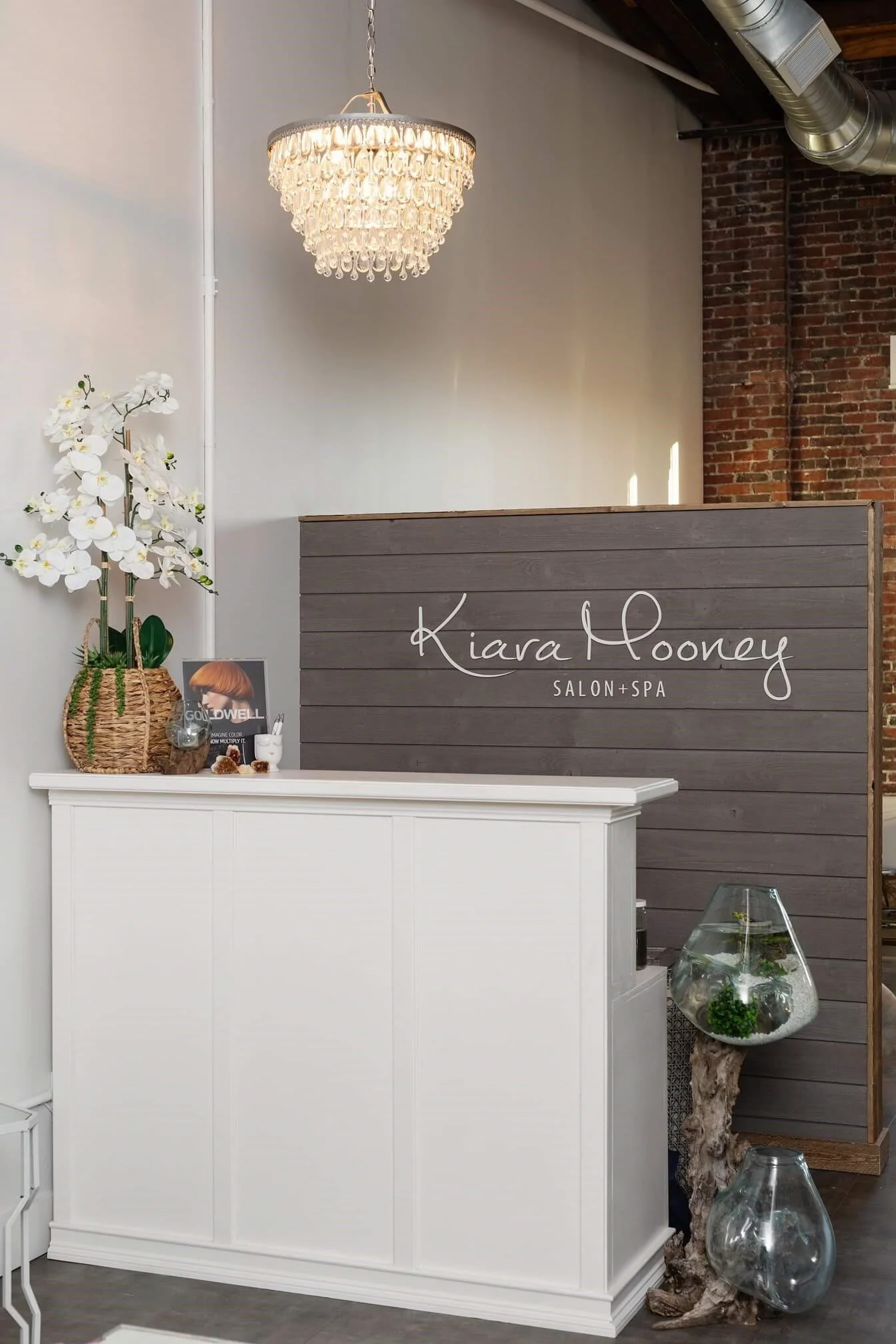 Mooney Salon 01.jpg
