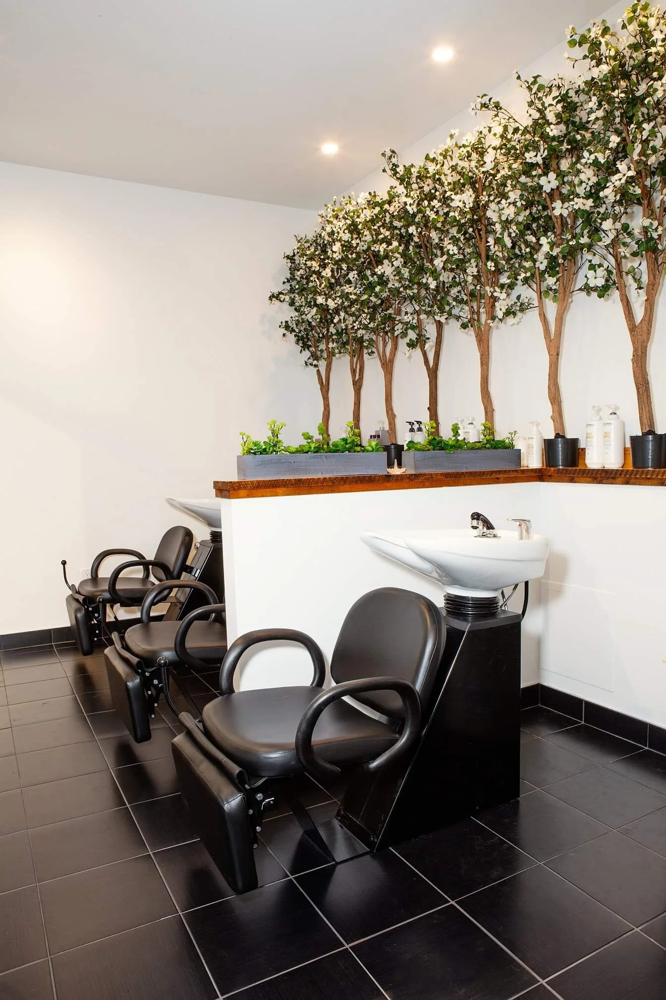 Salon 16.jpg