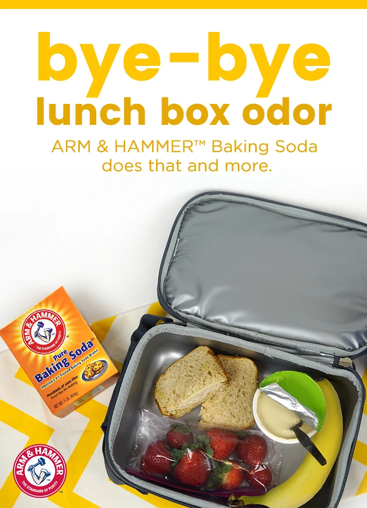 BS1703_Pinterest_Sept_DeodorizeLunchBag.jpg