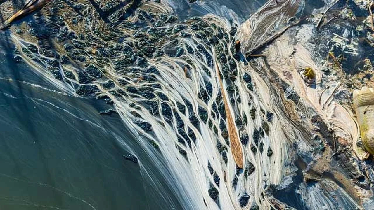 water quality road-traffic-could-be-a-major-source-of-water-pollution-359632-1280x720.jpeg