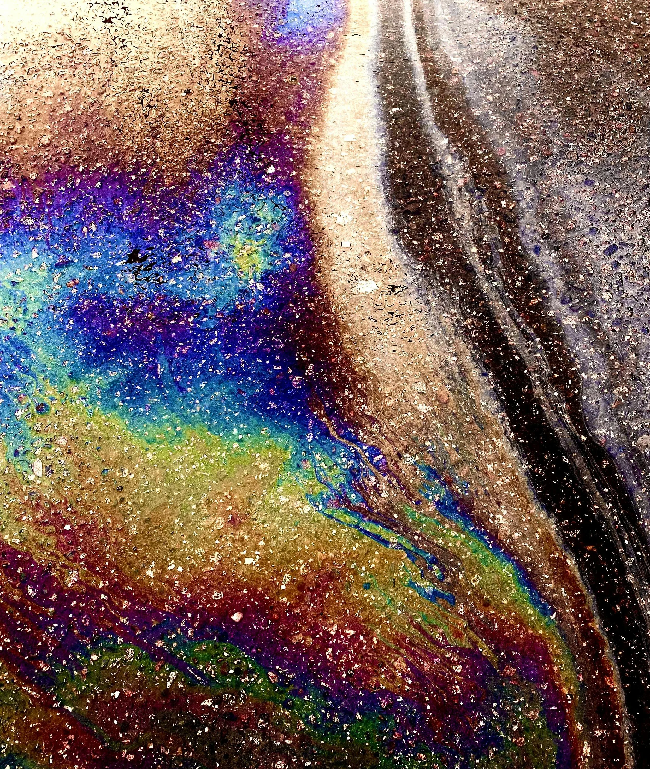 oil spill free pic.jpg