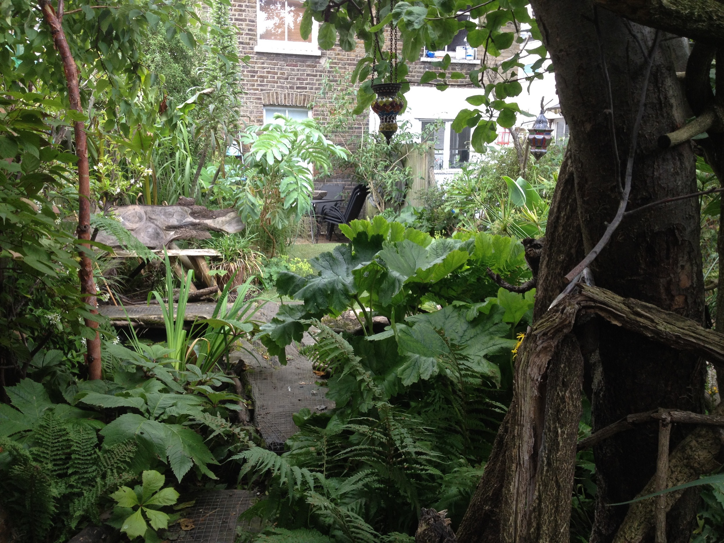 A jungle in a tiny Brixton garden
