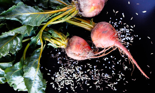 beet it
