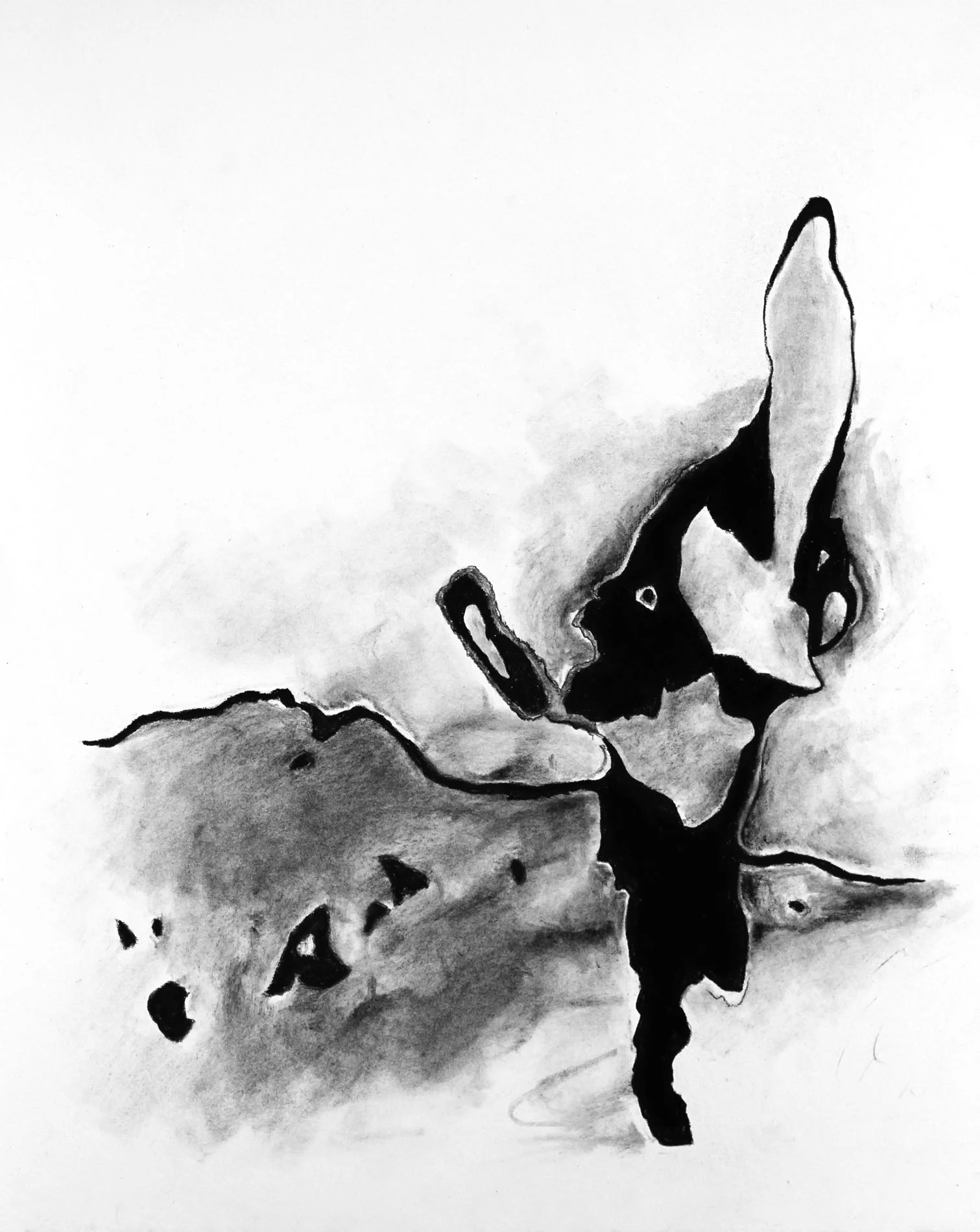 All That is Dark Can Dance