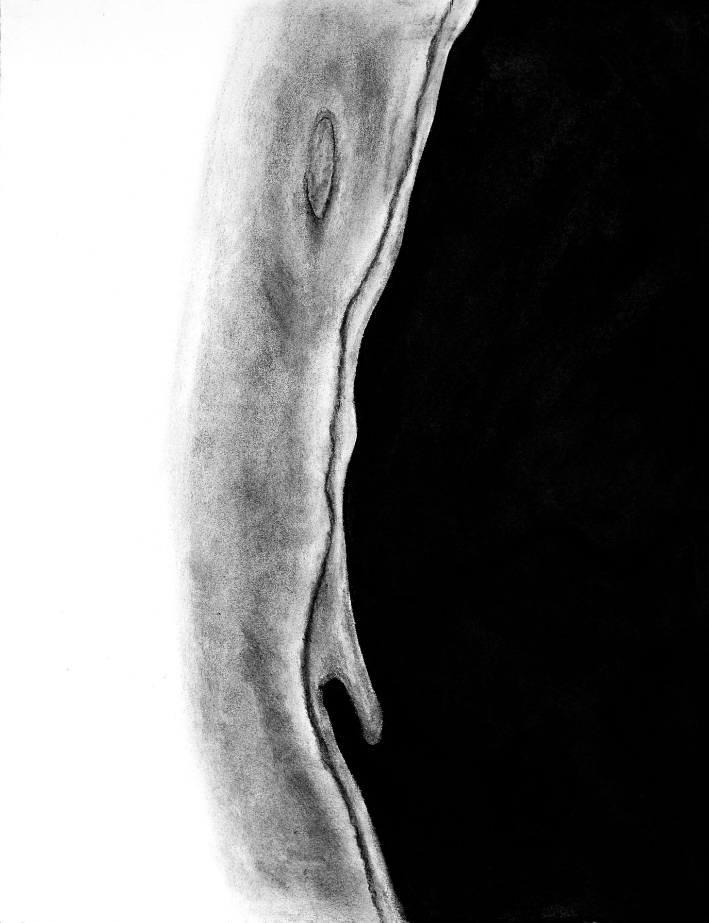 Flip Moon