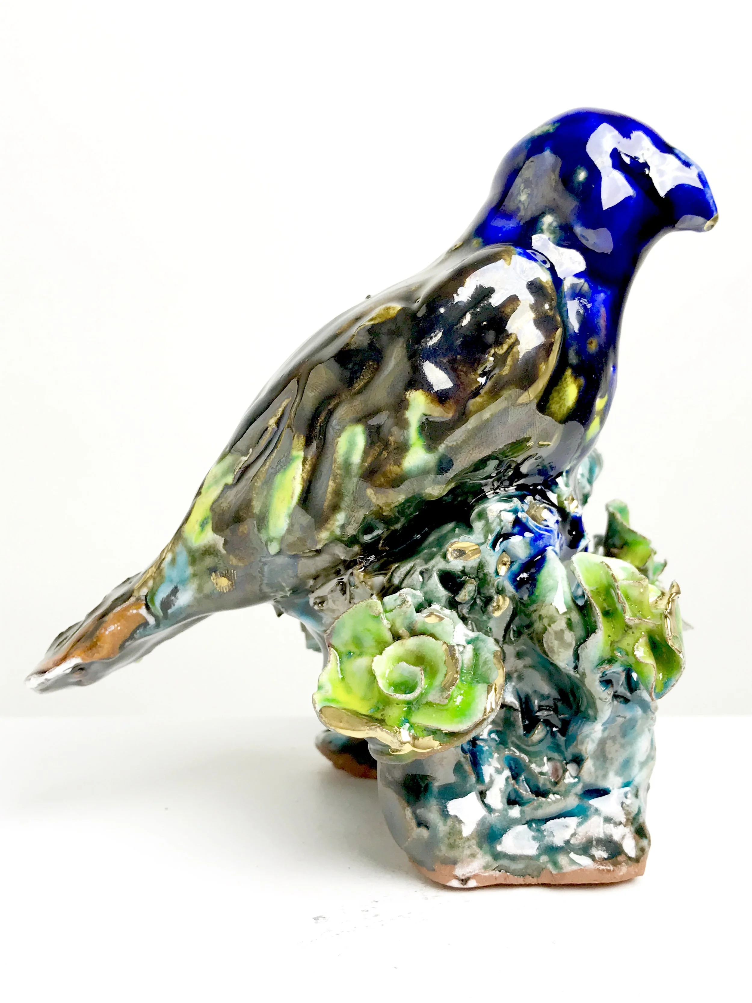 Bird with Blue Head