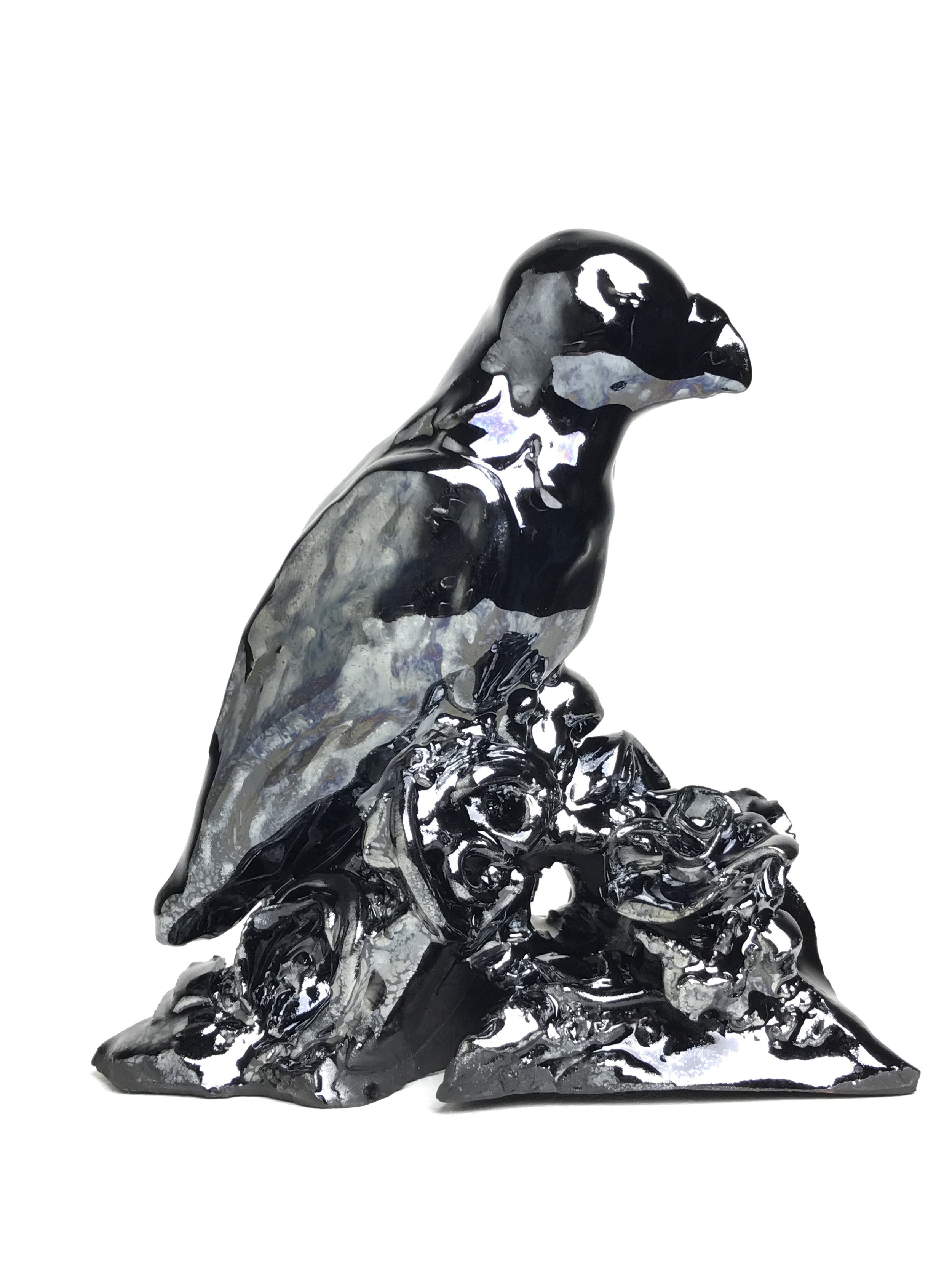 Black Bird