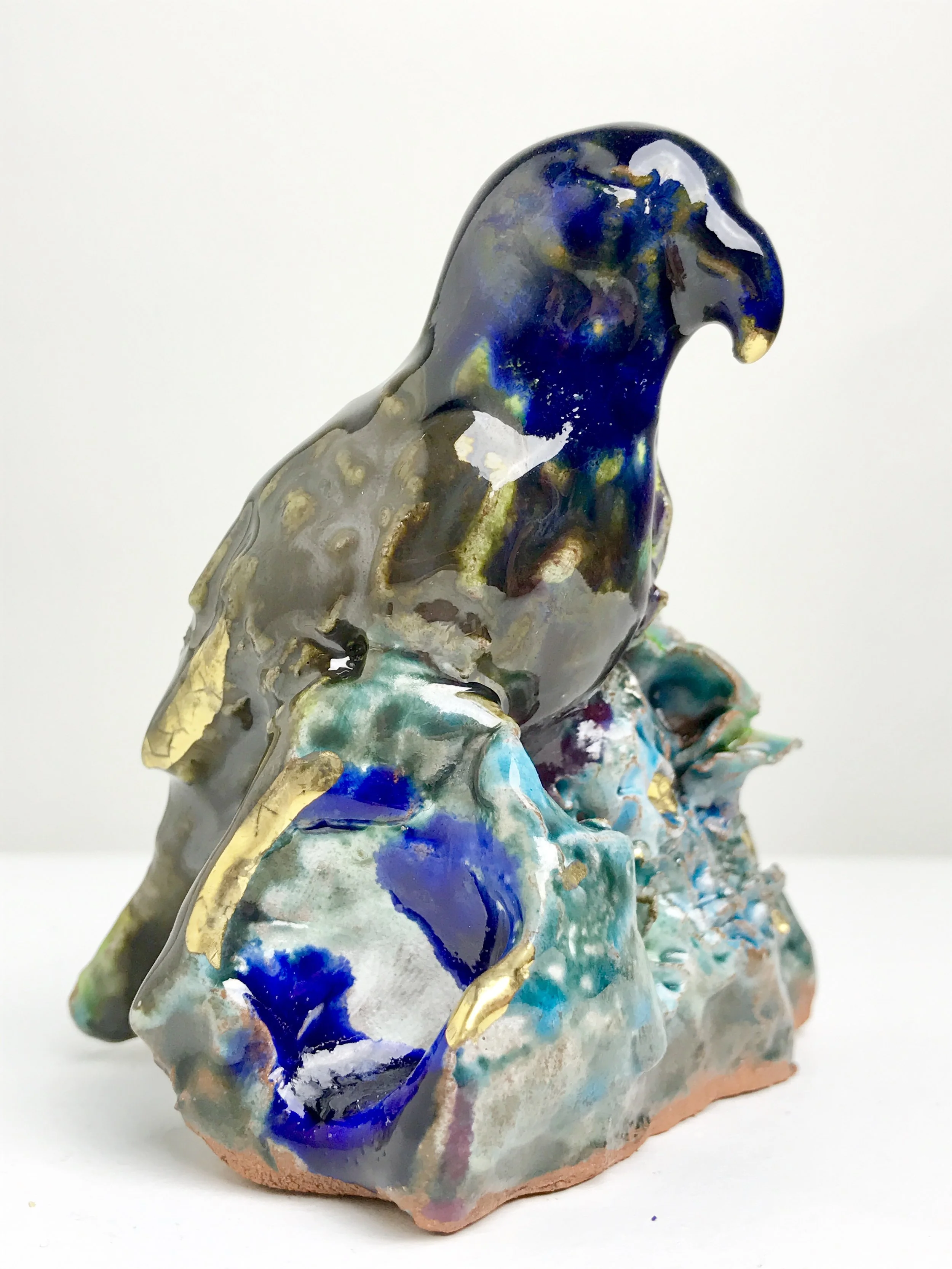 Bird Who Flies Seas