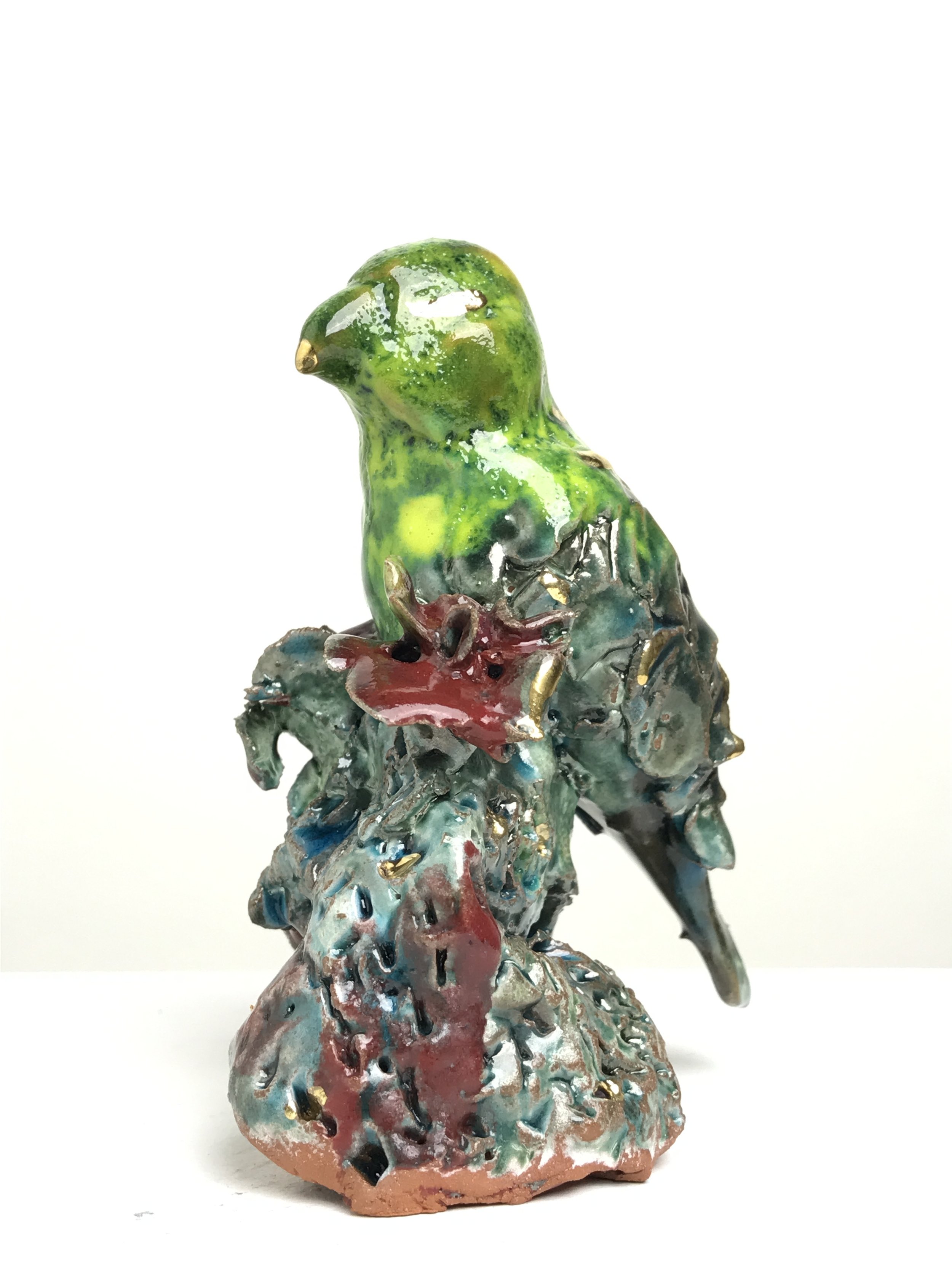 Bird With Yellow Head