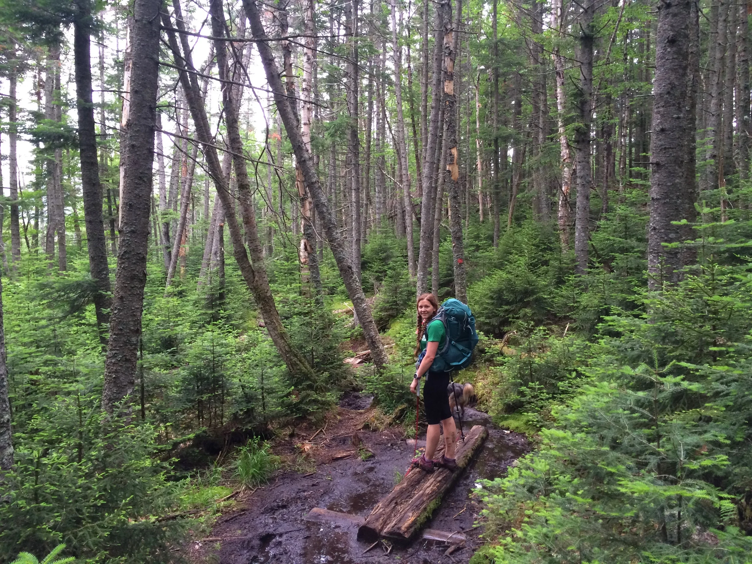 Learning to Relax in the Adirondacks