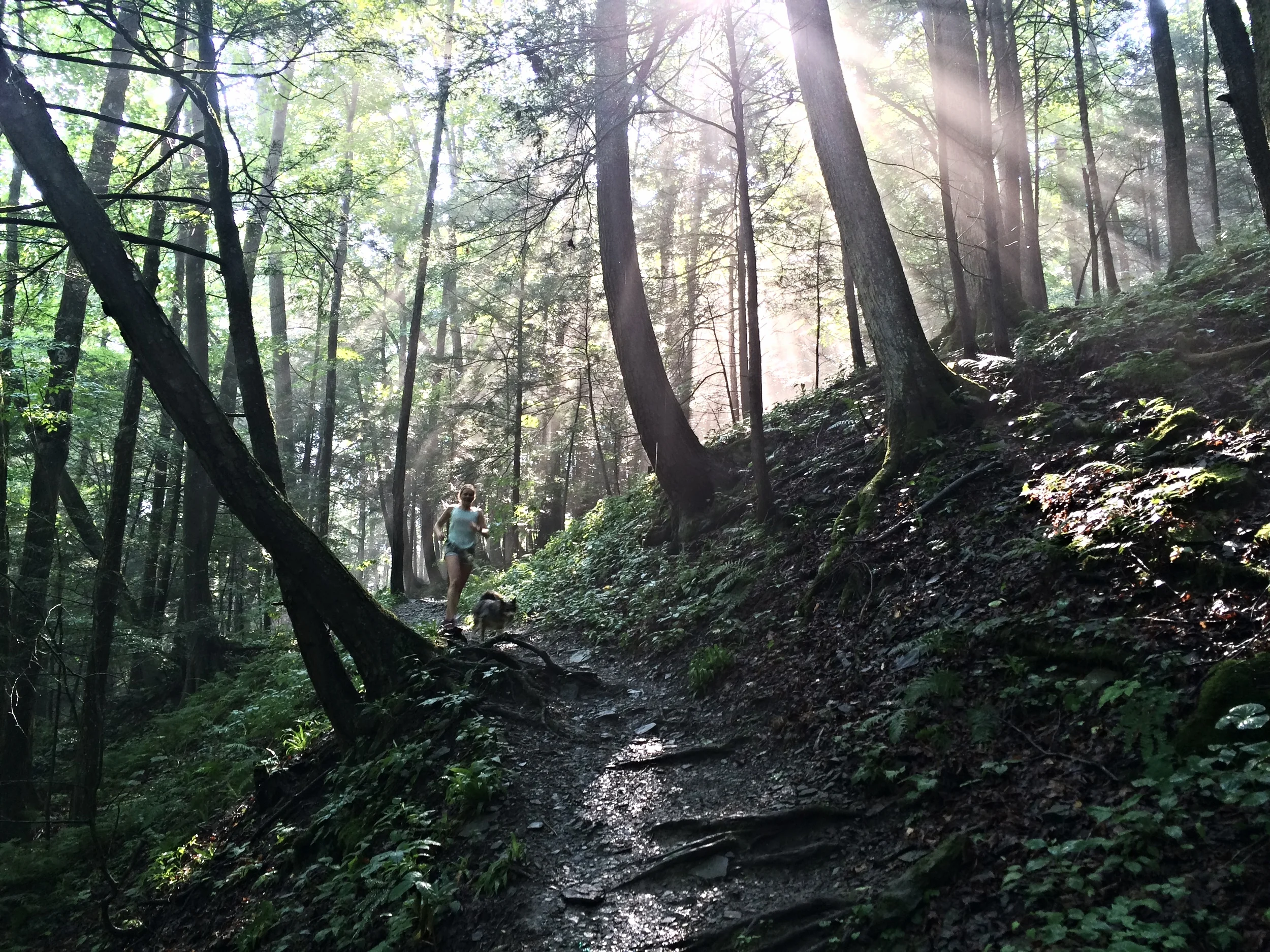 I Love Injinji Toe Socks!