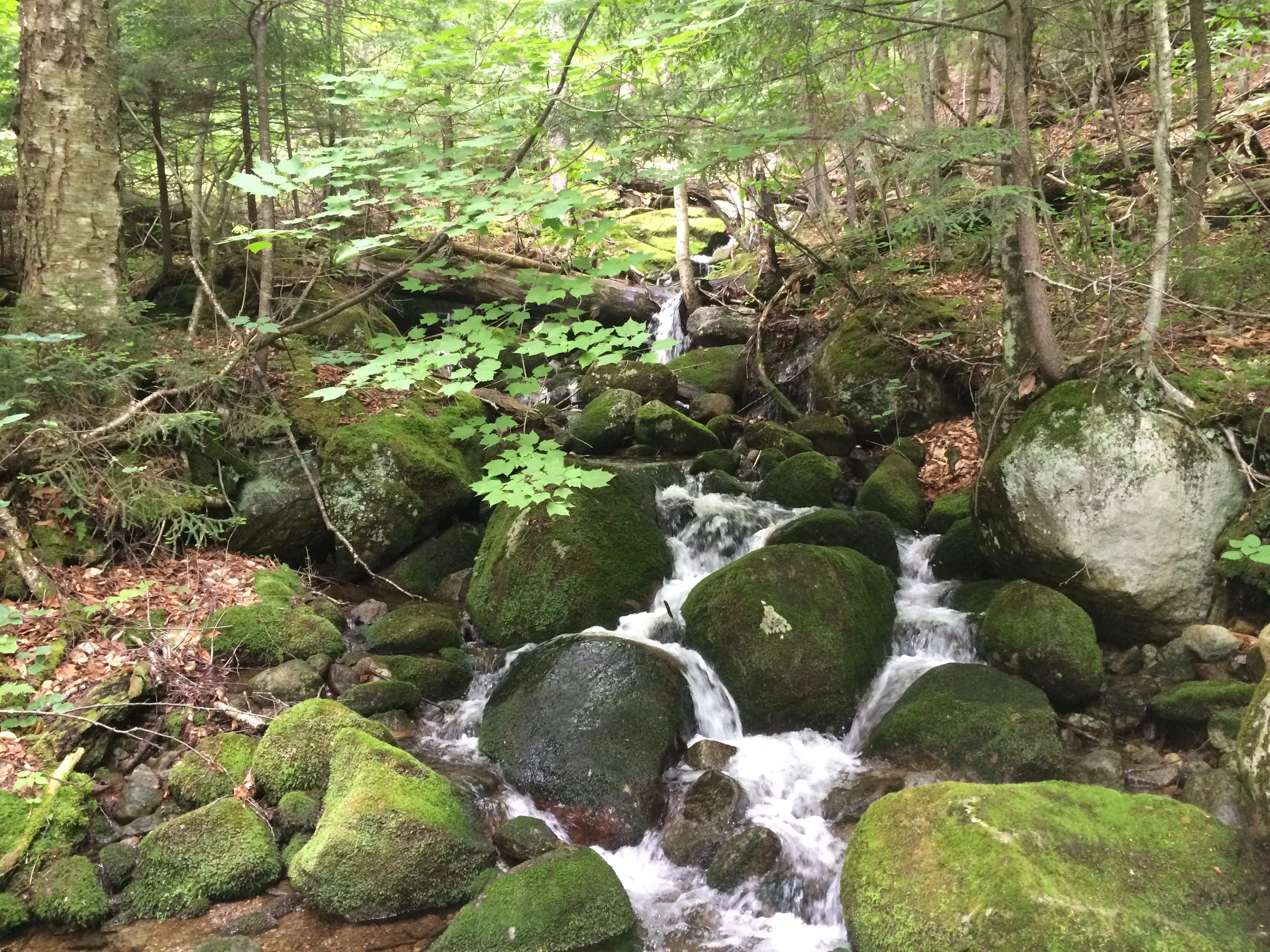 Being a tourist in Lake Placid and Saranac Lake.