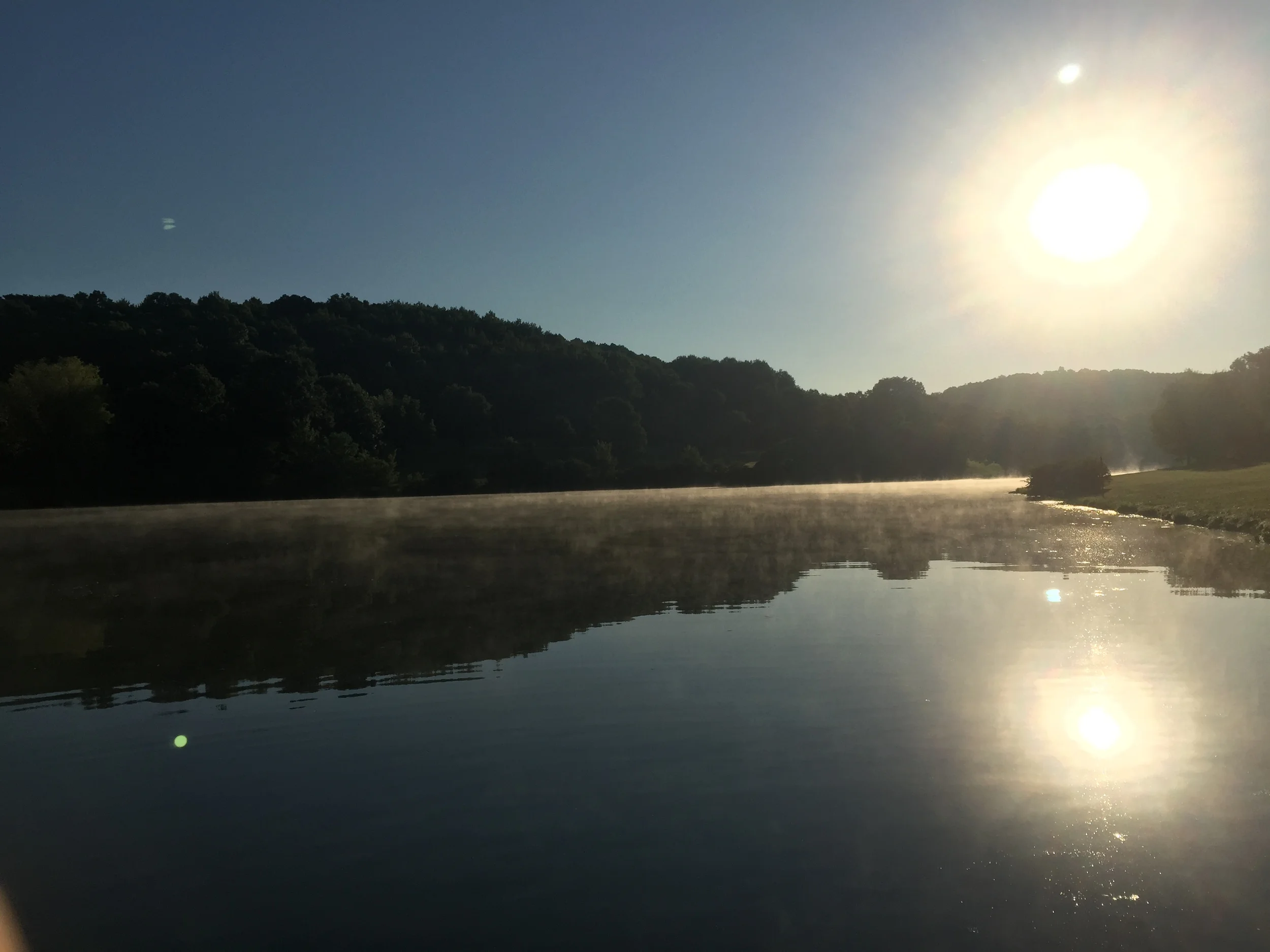 Returning to your Roots