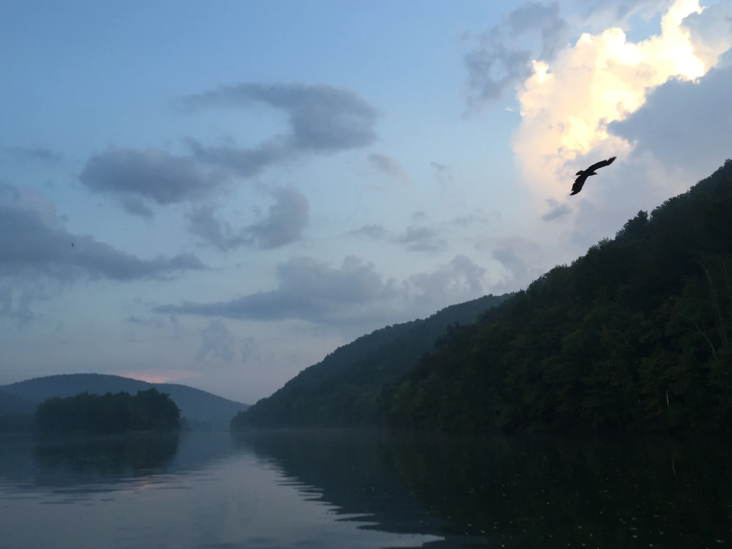 Almost Roughing it at the Allegheny National Forest