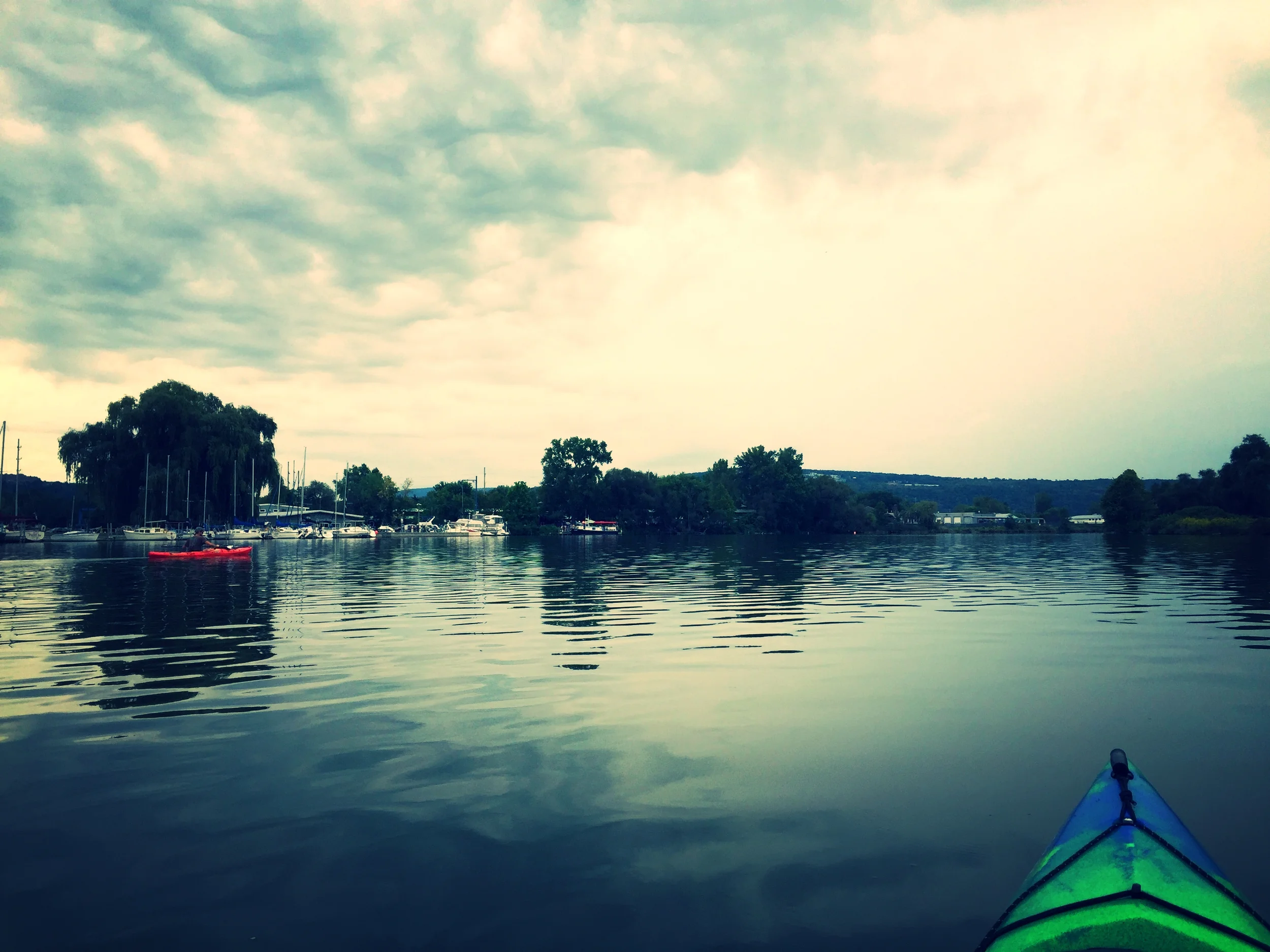 Ashley's Amazing Applesauce