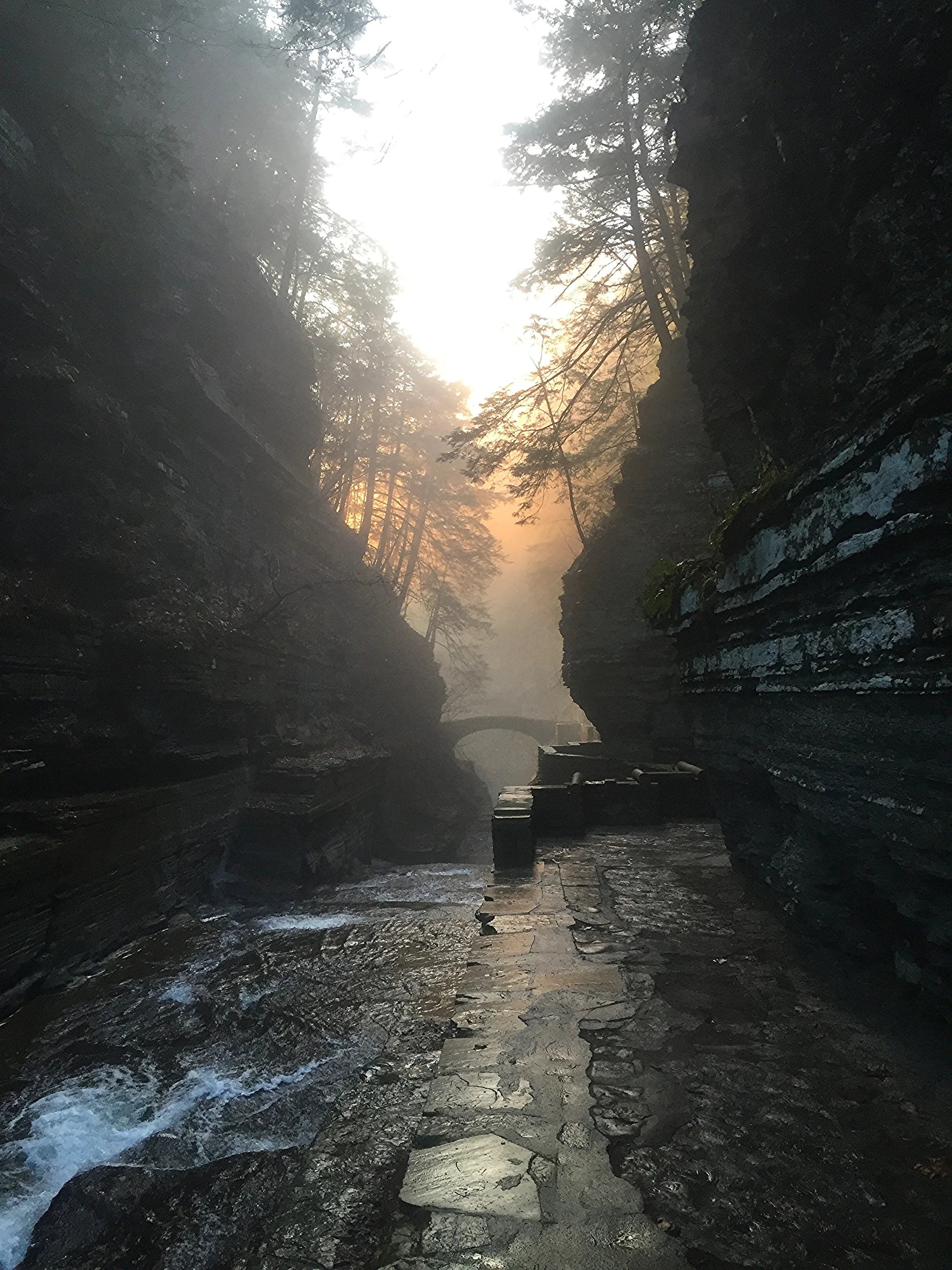 Robert Treman park December 2015