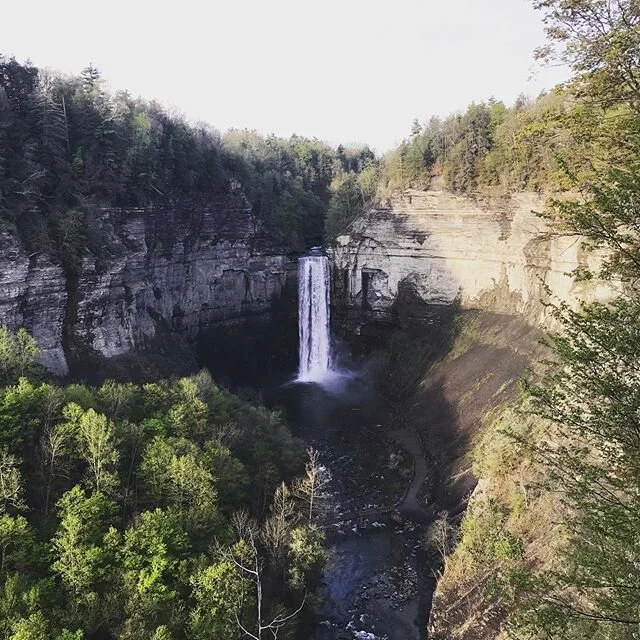 Trail mornings 🌈☀️#taughannockfalls #summer2020 #fingerlakes #ithacaisgorges #trailrunning #runhappy #rainbows