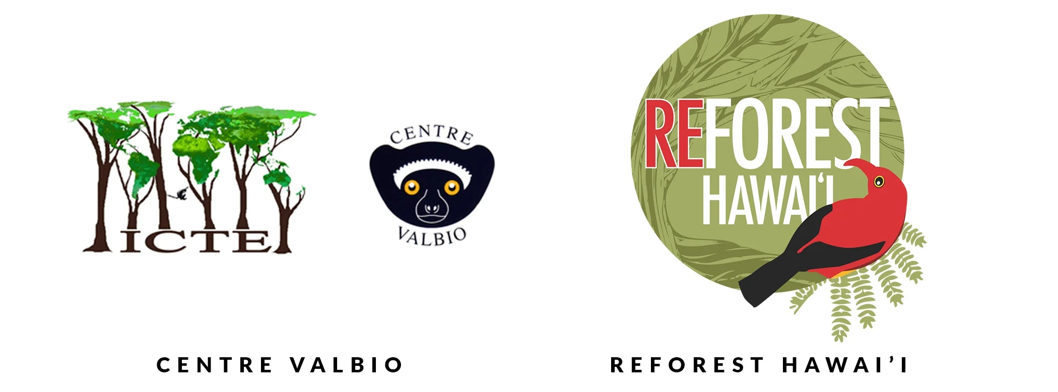 nyala-skincare-reforestation-partners.jpg