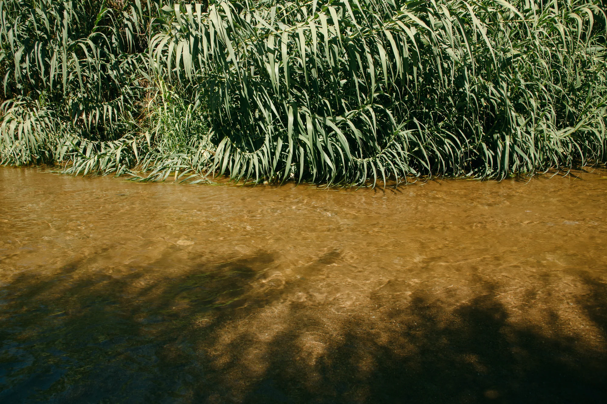 the_river_knows-024.jpg
