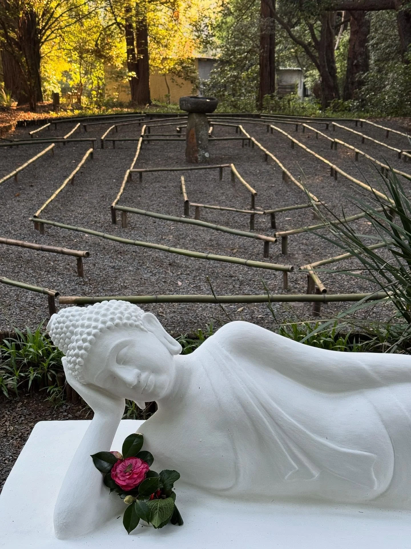 Beautiful and meaningful memorial weekend to celebrate the lives of our dear friends Tony and Janet Lazarus in the calm surroundings of @brc_ixopo