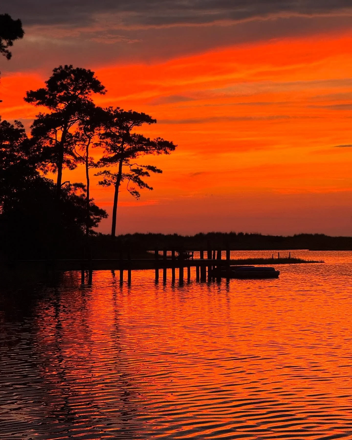A sunset concert on a quiet evening at home #healingnature
