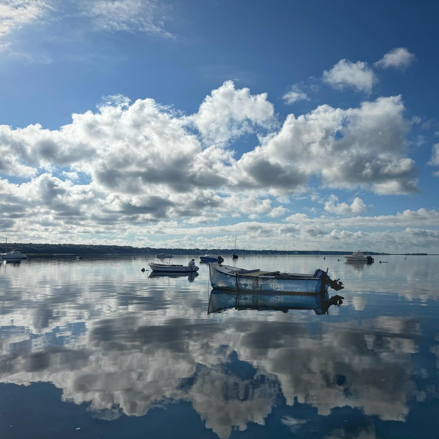 Exploring Cape Cod with grateful thanks to my friend Alice @waquoitstudio